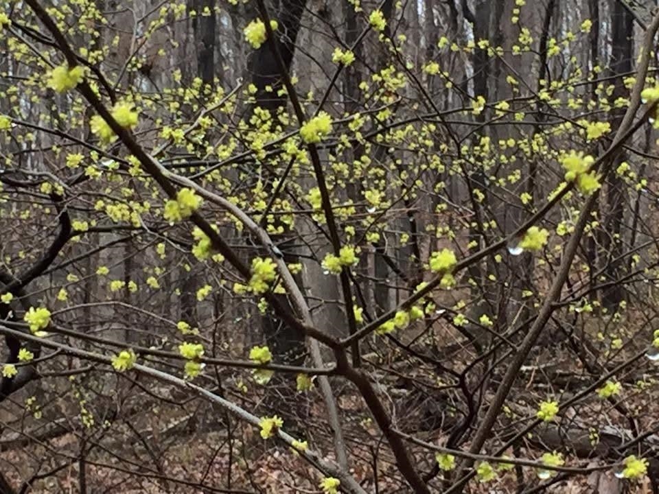 tbd ROUND HILL SCHOOL RD, FORT DEFIANCE, Virginia 24437, ,Land,tbd ROUND HILL SCHOOL RD,675427 MLS # 675427 tbd ROUND HILL SCHOOL RD, FORT DEFIANCE, Virginia 24437, ,Land,tbd ROUND HILL SCHOOL RD,675427 MLS # 675427
