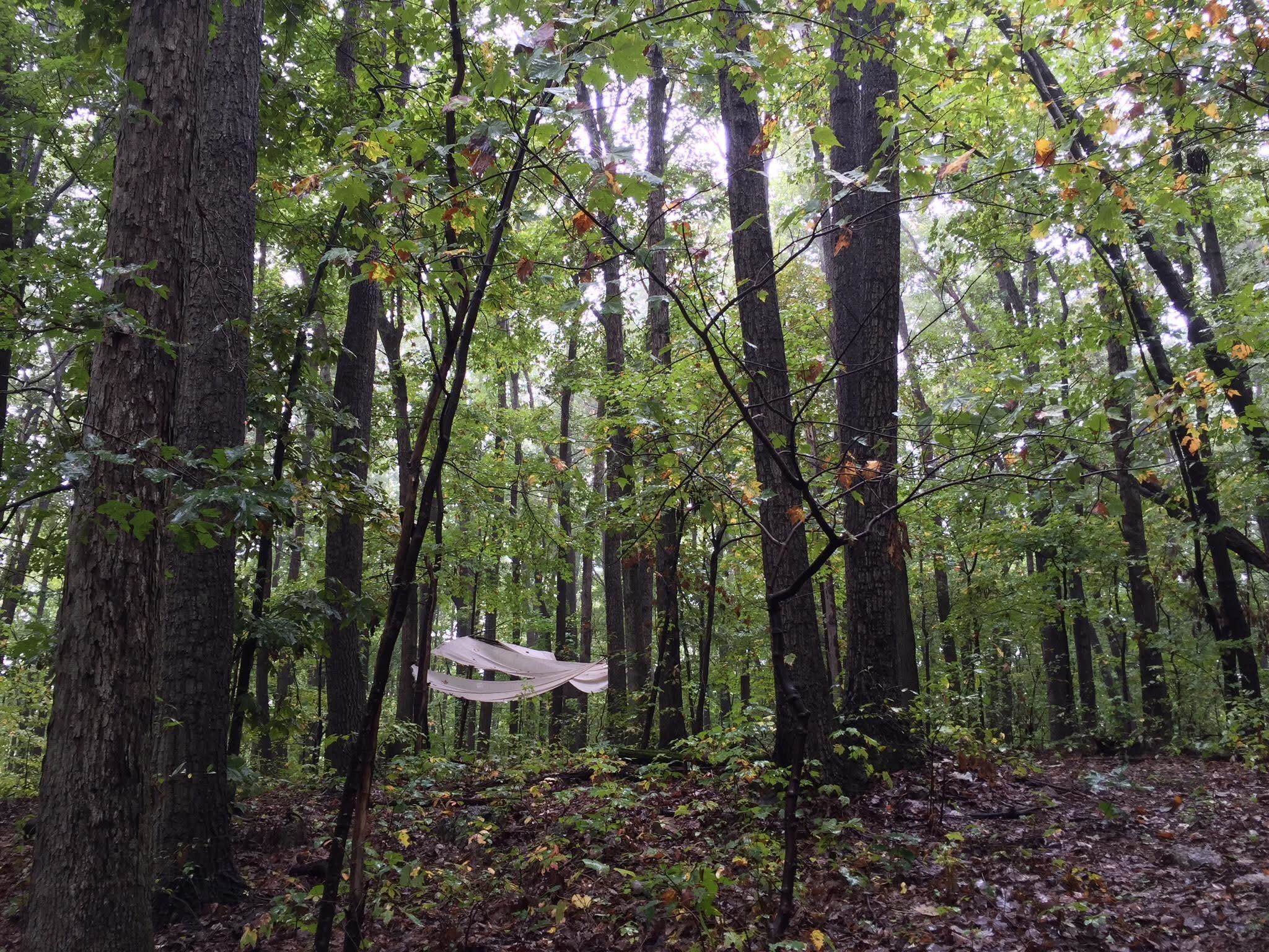 tbd ROUND HILL SCHOOL RD, FORT DEFIANCE, Virginia 24437, ,Land,tbd ROUND HILL SCHOOL RD,675427 MLS # 675427 tbd ROUND HILL SCHOOL RD, FORT DEFIANCE, Virginia 24437, ,Land,tbd ROUND HILL SCHOOL RD,675427 MLS # 675427