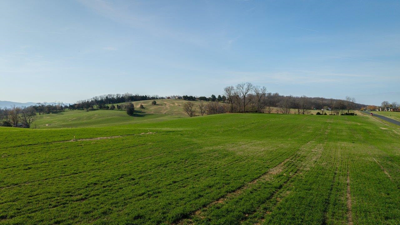 0 KOINER FORD RD, MOUNT CRAWFORD, Virginia 22841, ,Land,0 KOINER FORD RD,675438 MLS # 675438