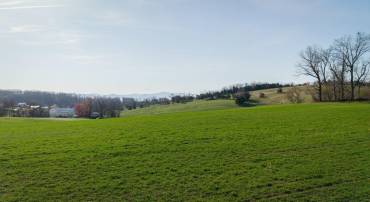 Could be a great site for a home with a walk out basement.