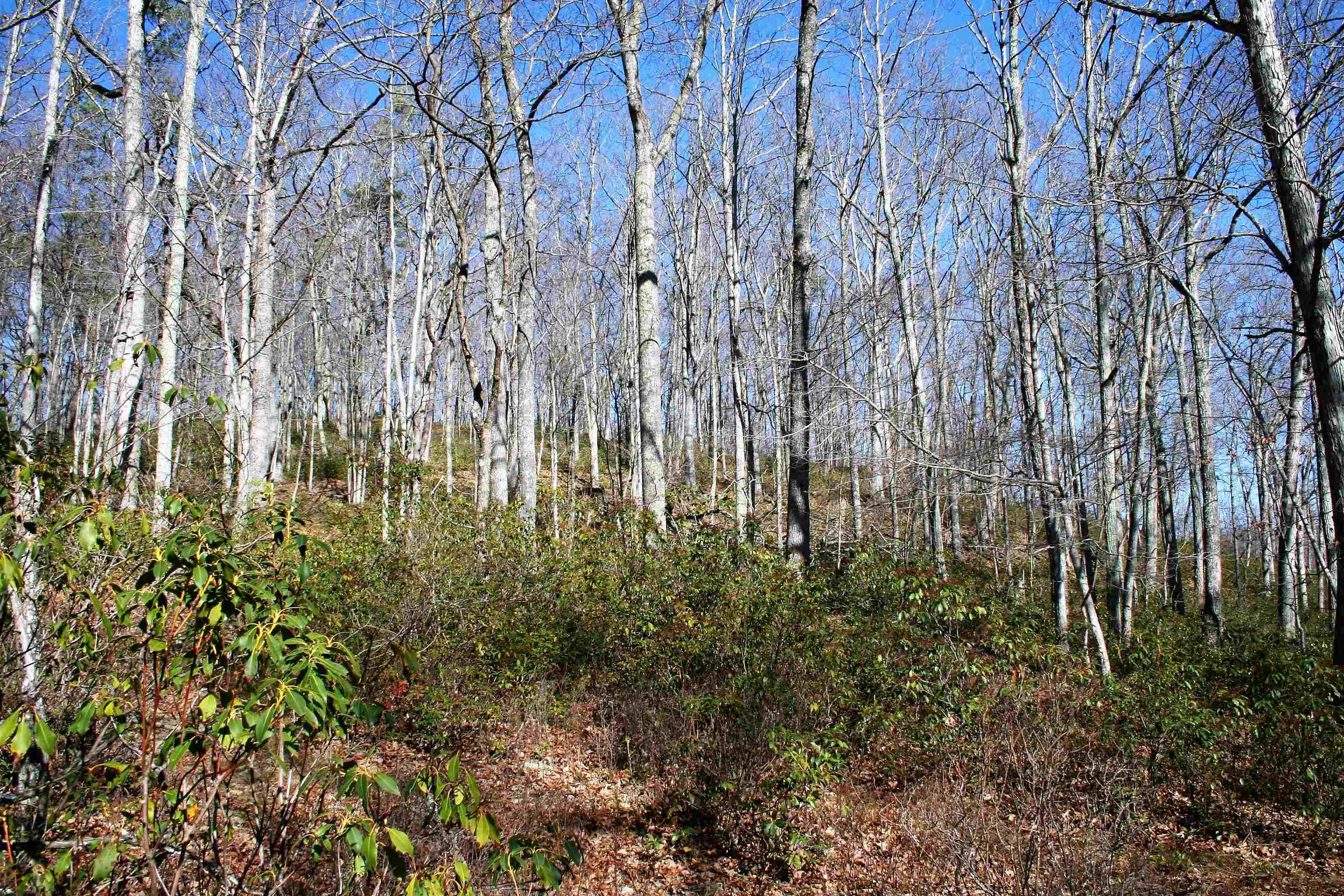 HIGH VALLEY SOUTH, MONTEREY, Virginia 24465, ,Land,Haase,HIGH VALLEY SOUTH,675439 MLS # 675439