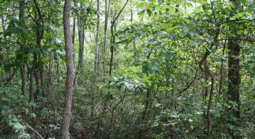 HIGH VALLEY SOUTH, MONTEREY, Virginia 24465, ,Land,Haase,HIGH VALLEY SOUTH,675439 MLS # 675439