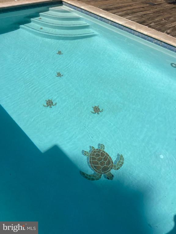 7747 RIVERSIDE FARM RD, MARSHALL, Virginia, 4 Bedrooms Bedrooms, ,3 BathroomsBathrooms,Residential,7747 RIVERSIDE FARM RD,VAFQ2021308 MLS # VAFQ2021308