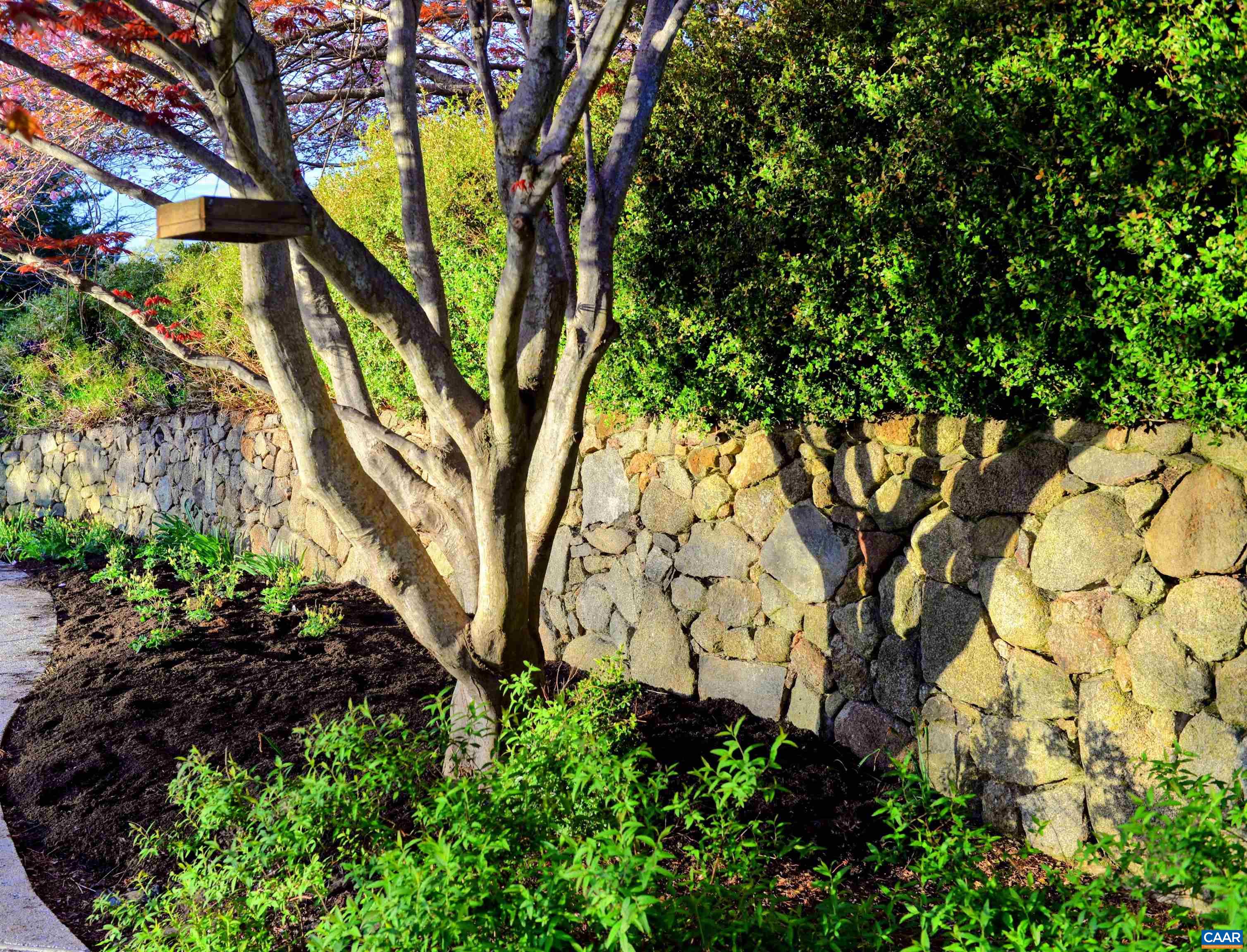 Stone walls surround the pool.