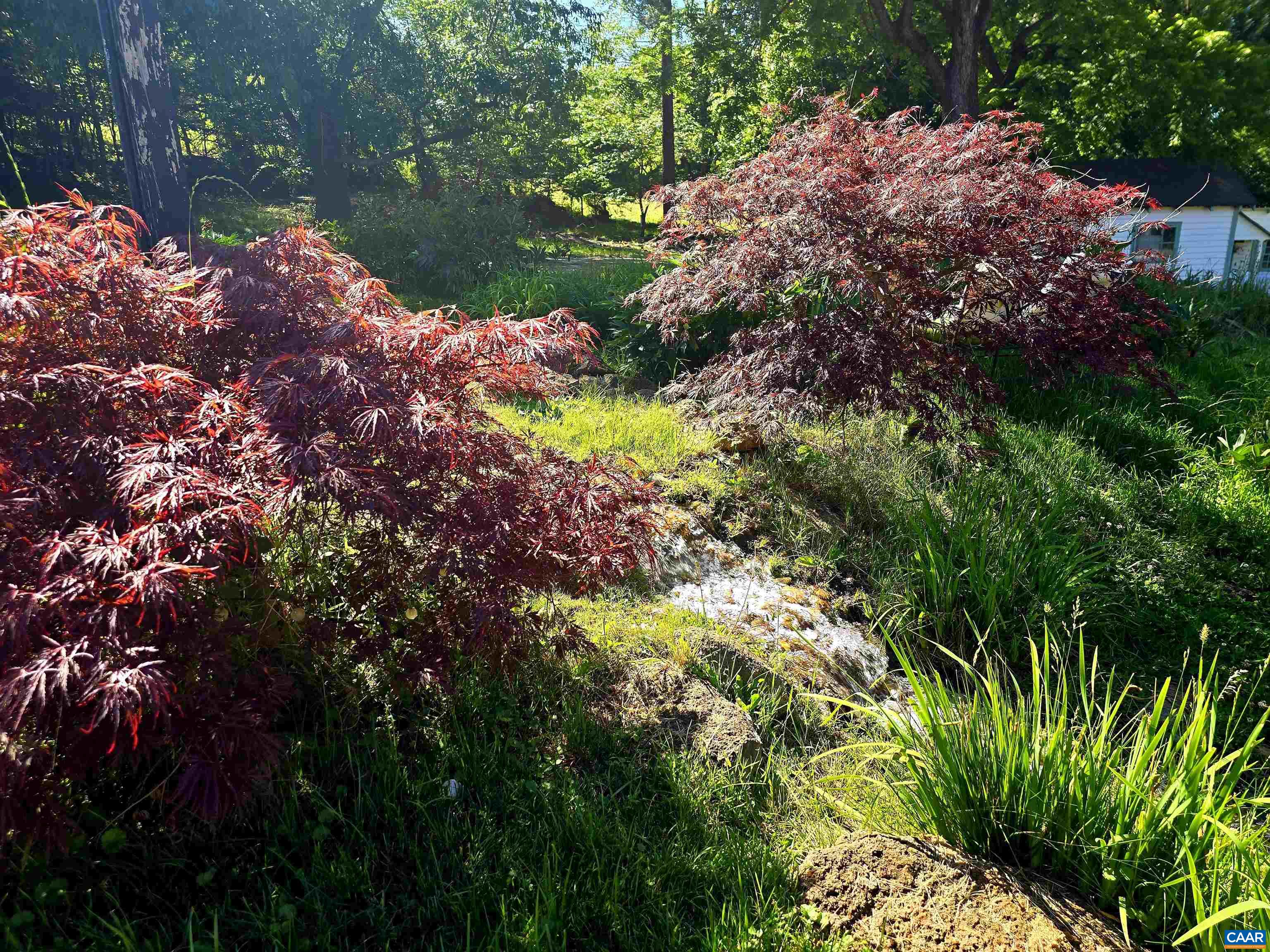 128 ROCKFISH ORCHARD DR, AFTON, Virginia 22920, 4 Bedrooms Bedrooms, ,2 BathroomsBathrooms,Residential,Stunning Stone Home,128 ROCKFISH ORCHARD DR,675288 MLS # 675288