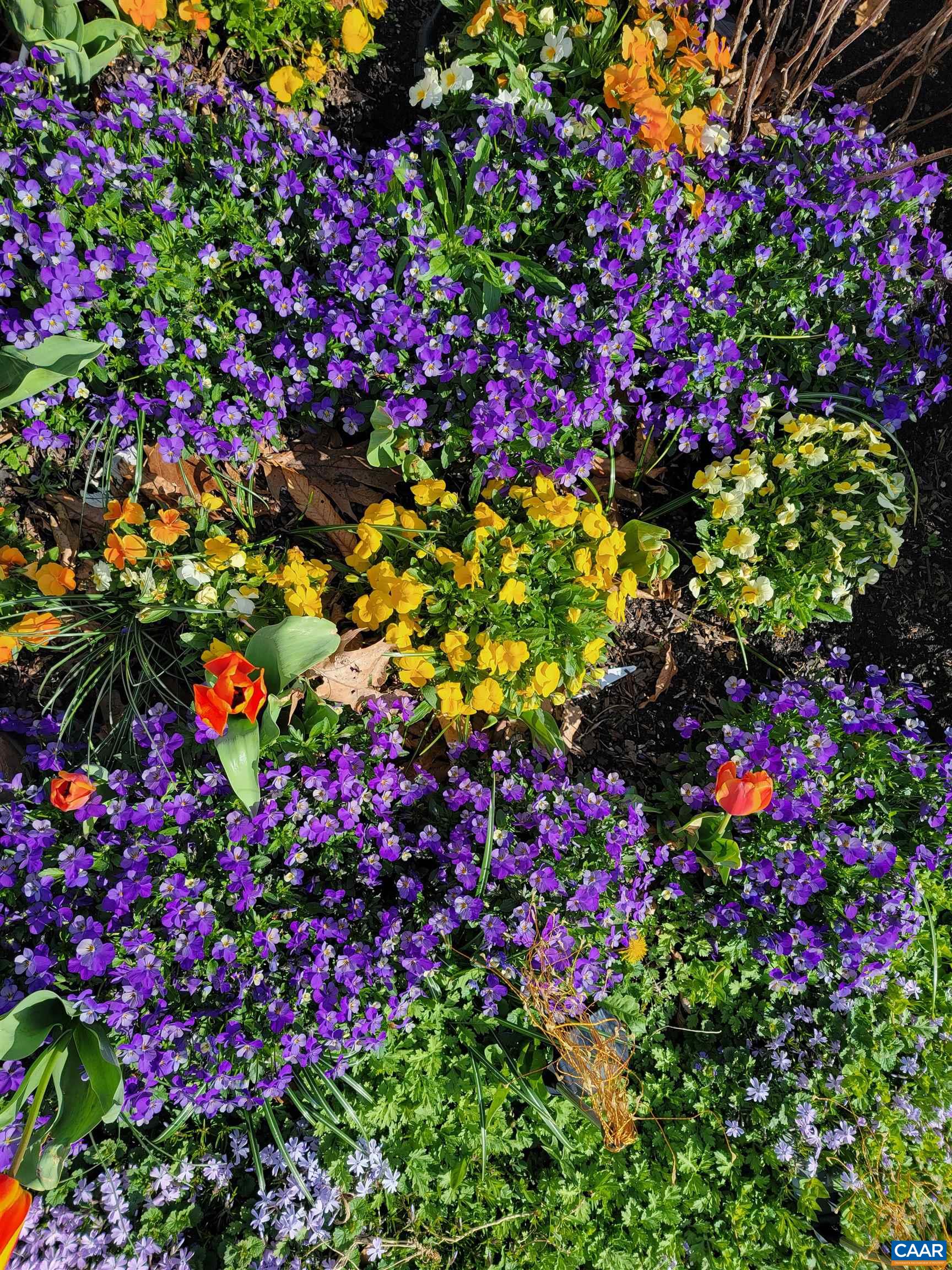 128 ROCKFISH ORCHARD DR, AFTON, Virginia 22920, 4 Bedrooms Bedrooms, ,2 BathroomsBathrooms,Residential,Stunning Stone Home,128 ROCKFISH ORCHARD DR,675288 MLS # 675288