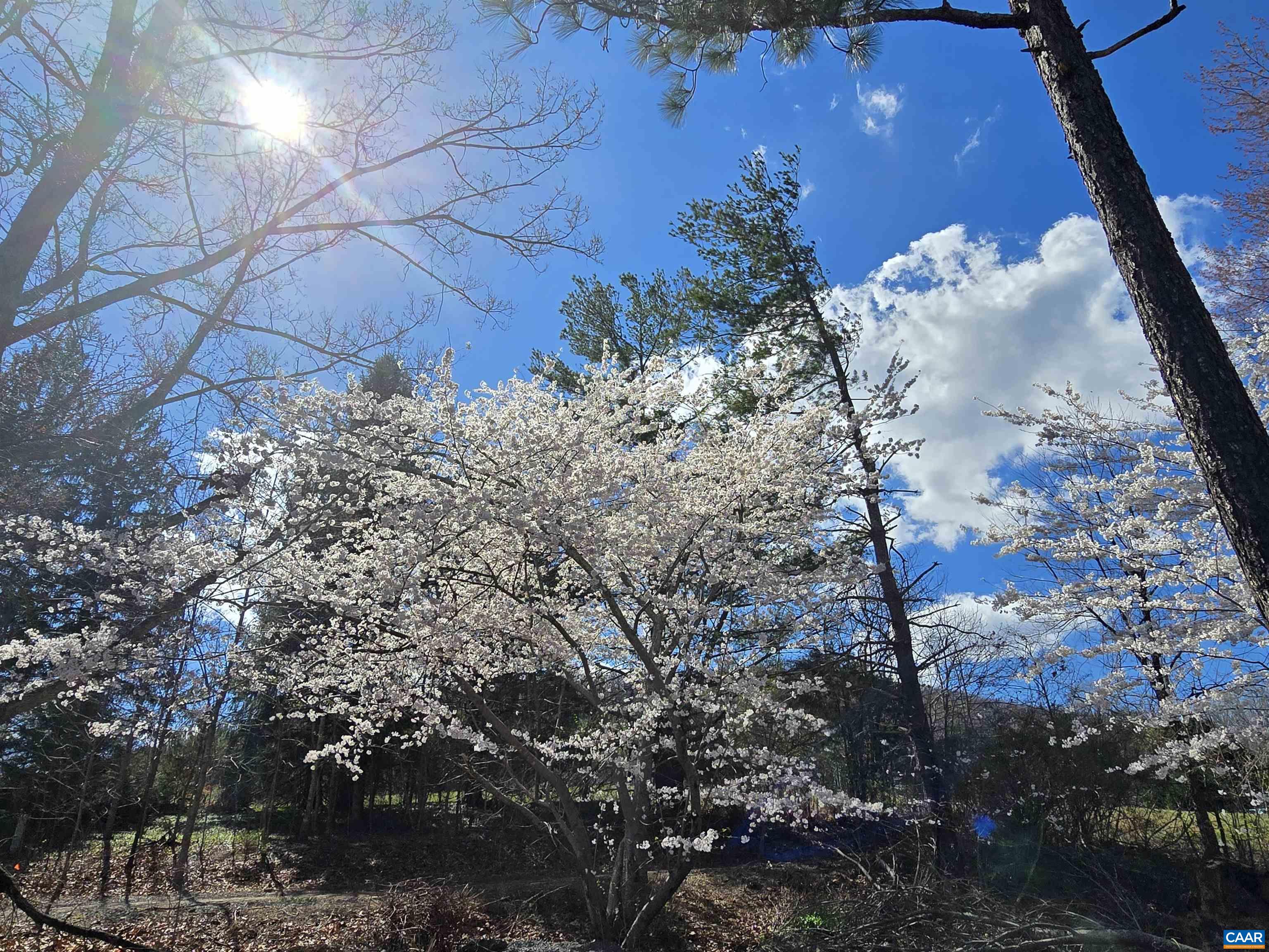 128 ROCKFISH ORCHARD DR, AFTON, Virginia 22920, 4 Bedrooms Bedrooms, ,2 BathroomsBathrooms,Residential,Stunning Stone Home,128 ROCKFISH ORCHARD DR,675288 MLS # 675288