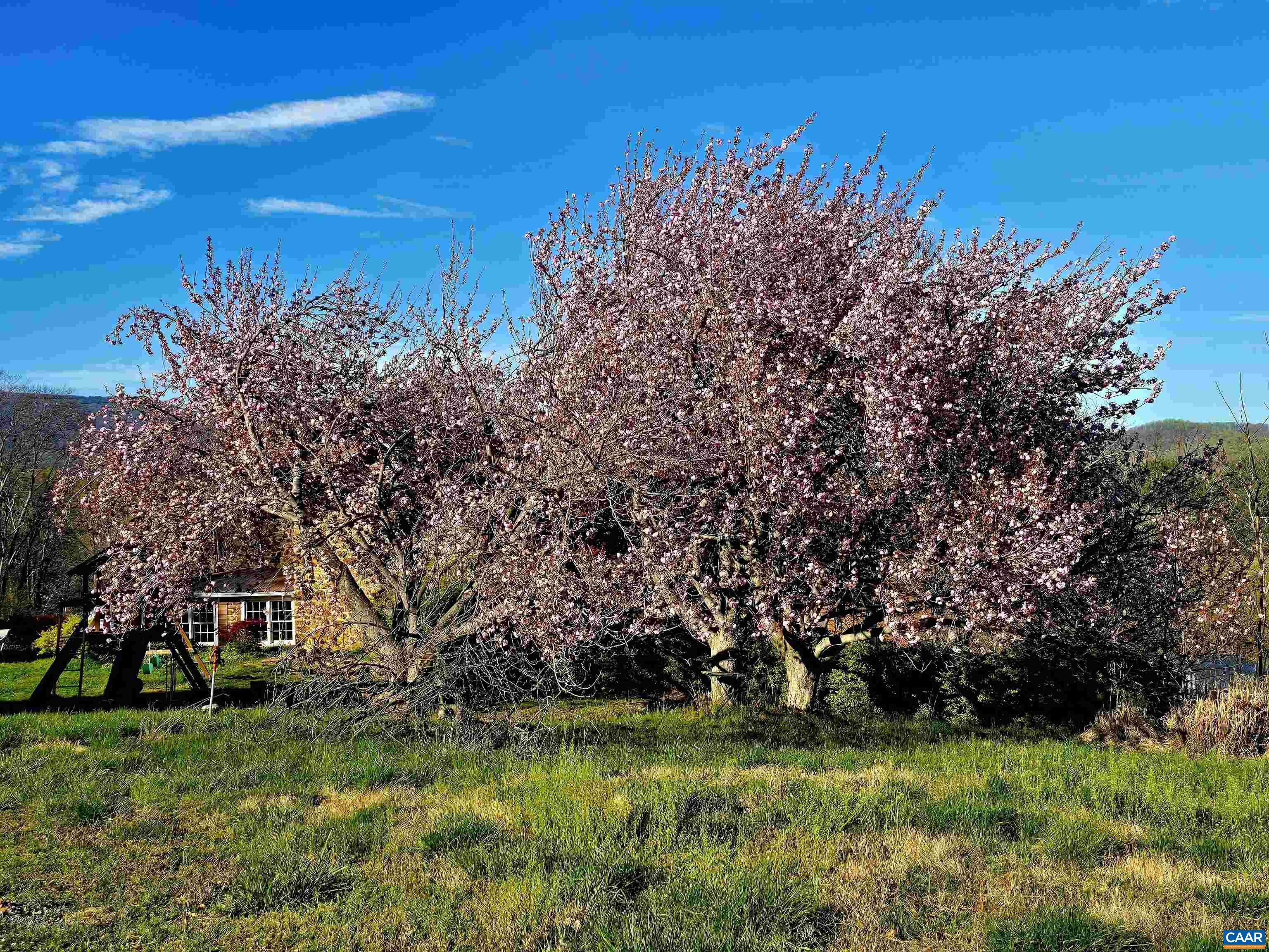128 ROCKFISH ORCHARD DR, AFTON, Virginia 22920, 4 Bedrooms Bedrooms, ,2 BathroomsBathrooms,Residential,Stunning Stone Home,128 ROCKFISH ORCHARD DR,675288 MLS # 675288