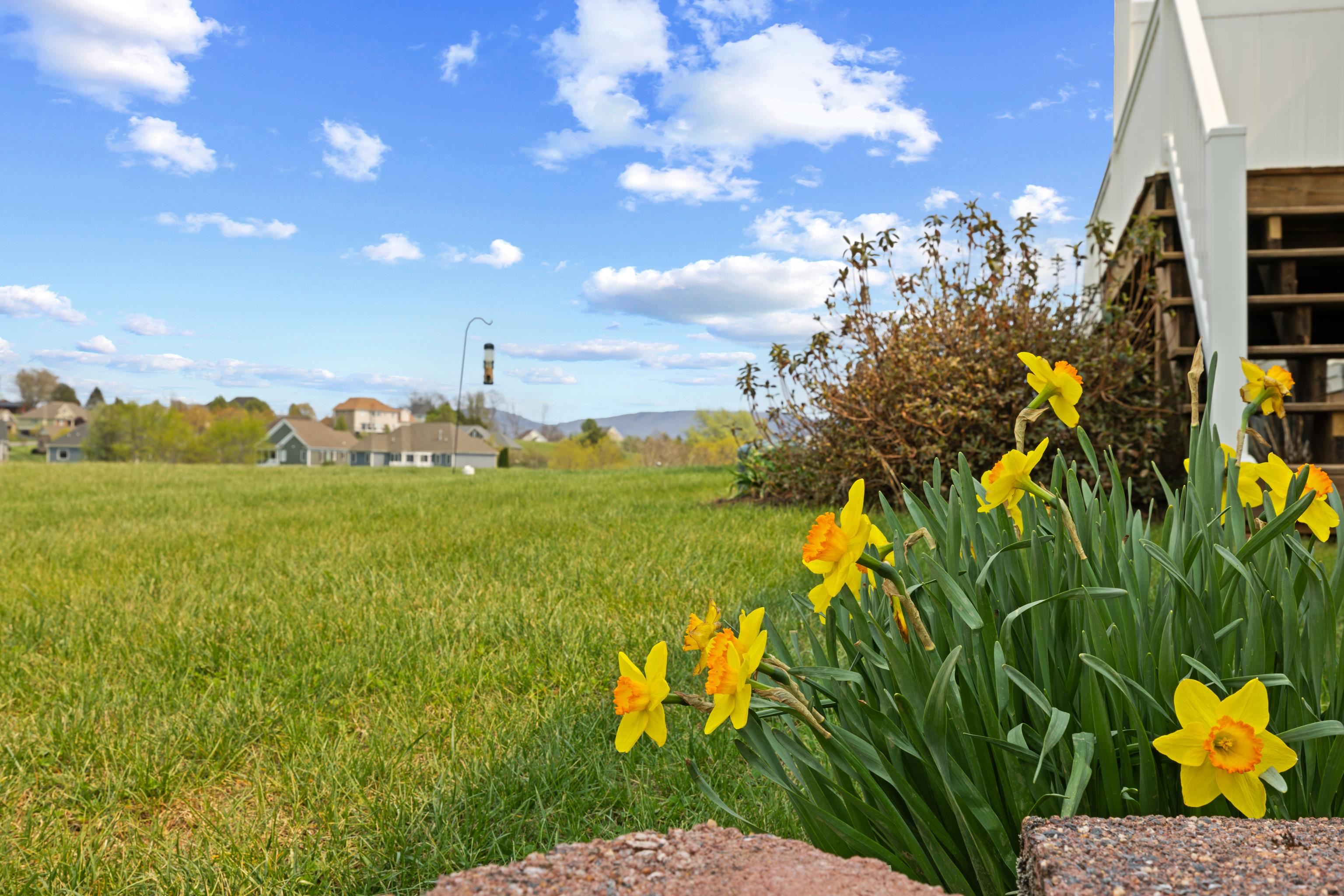 320 PETROS DR, WAYNESBORO, Virginia 22980, 4 Bedrooms Bedrooms, ,2 BathroomsBathrooms,Residential,320 PETROS DR,675442 MLS # 675442 320 PETROS DR, WAYNESBORO, Virginia 22980, 4 Bedrooms Bedrooms, ,2 BathroomsBathrooms,Residential,320 PETROS DR,675442 MLS # 675442