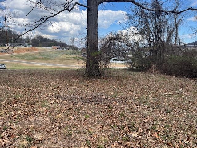 912 MOORE ST, STAUNTON, Virginia 24401, ,Land,912 MOORE ST,675457 MLS # 675457