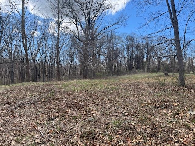 912 MOORE ST, STAUNTON, Virginia 24401, ,Land,912 MOORE ST,675457 MLS # 675457