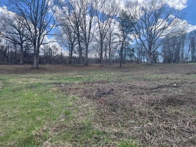 912 MOORE ST, STAUNTON, Virginia 24401, ,Land,912 MOORE ST,675457 MLS # 675457