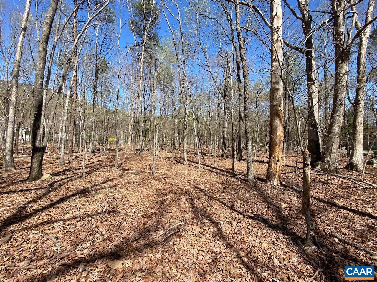 38 CREEKSIDE CL, NELLYSFORD, Virginia 22958, ,Land,38 CREEKSIDE CL,675471 MLS # 675471 38 CREEKSIDE CL, NELLYSFORD, Virginia 22958, ,Land,38 CREEKSIDE CL,675471 MLS # 675471