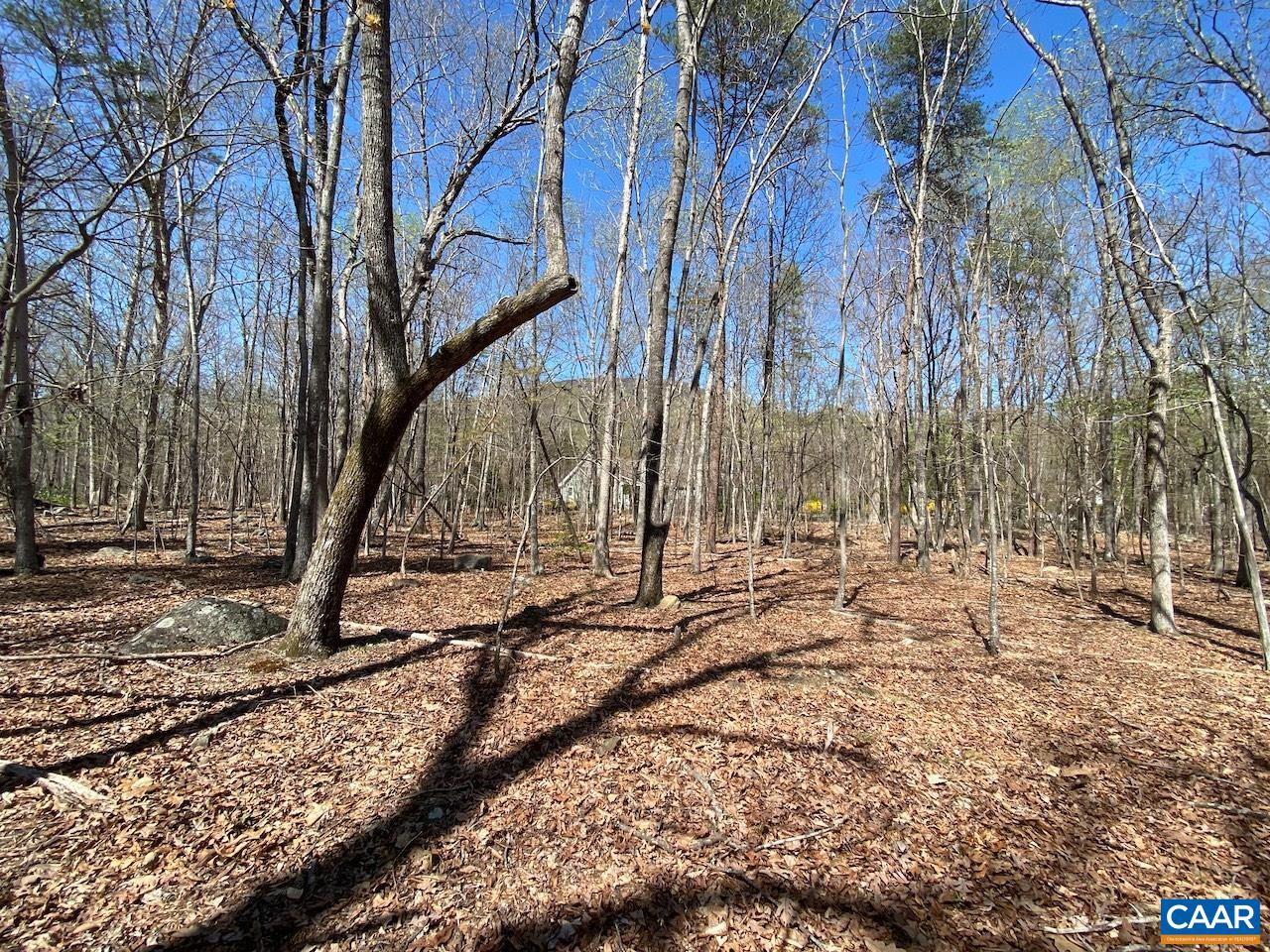 38 CREEKSIDE CL, NELLYSFORD, Virginia 22958, ,Land,38 CREEKSIDE CL,675471 MLS # 675471 38 CREEKSIDE CL, NELLYSFORD, Virginia 22958, ,Land,38 CREEKSIDE CL,675471 MLS # 675471