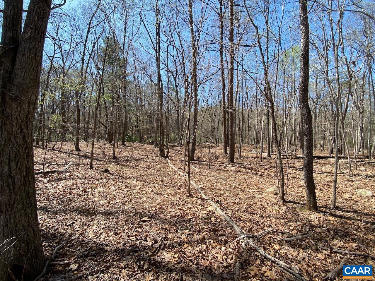 38 CREEKSIDE CL, NELLYSFORD, Virginia 22958, ,Land,38 CREEKSIDE CL,675471 MLS # 675471 38 CREEKSIDE CL, NELLYSFORD, Virginia 22958, ,Land,38 CREEKSIDE CL,675471 MLS # 675471