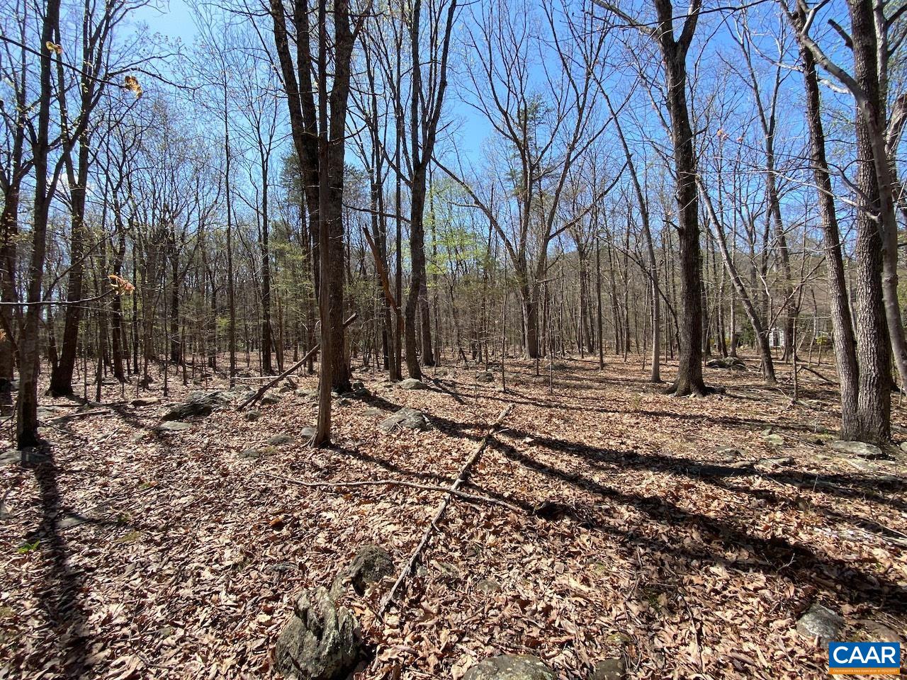 38 CREEKSIDE CL, NELLYSFORD, Virginia 22958, ,Land,38 CREEKSIDE CL,675471 MLS # 675471 38 CREEKSIDE CL, NELLYSFORD, Virginia 22958, ,Land,38 CREEKSIDE CL,675471 MLS # 675471