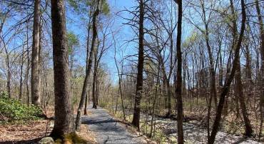 Parcel borders community open space and Stoney Creek