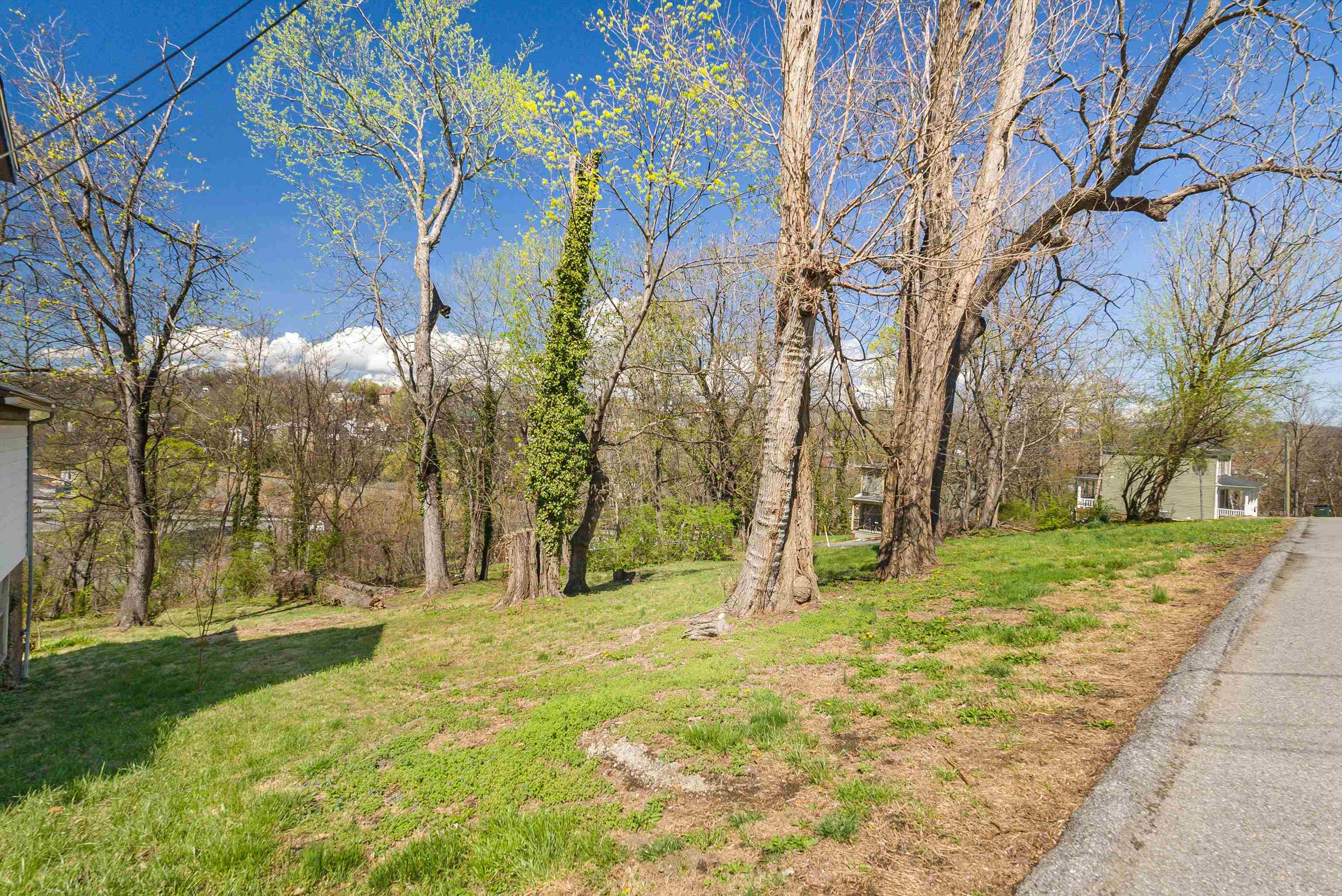 408 GOOCH ST, STAUNTON, Virginia 24401, ,Land,408 GOOCH ST,675473 MLS # 675473 408 GOOCH ST, STAUNTON, Virginia 24401, ,Land,408 GOOCH ST,675473 MLS # 675473