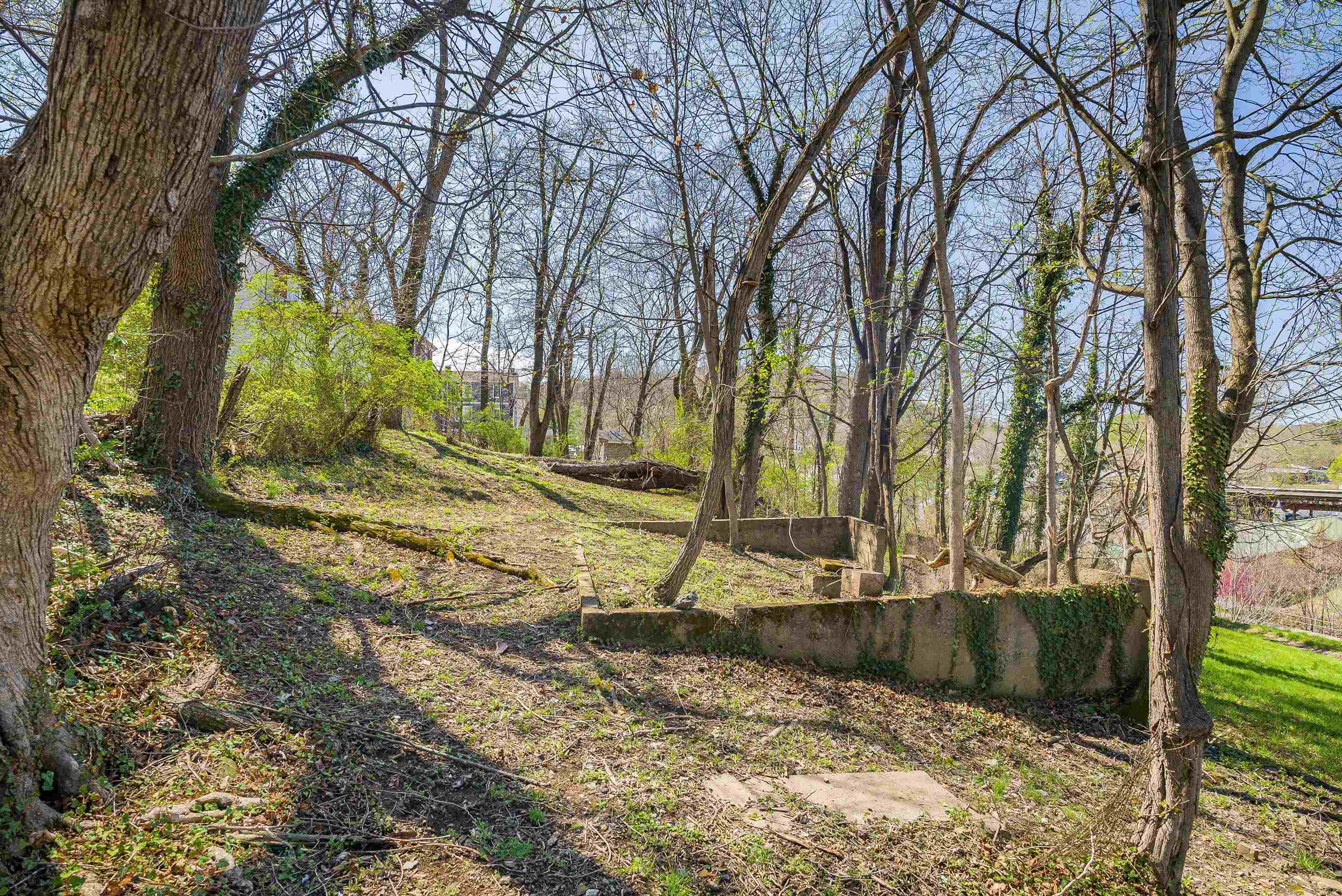 408 GOOCH ST, STAUNTON, Virginia 24401, ,Land,408 GOOCH ST,675473 MLS # 675473 408 GOOCH ST, STAUNTON, Virginia 24401, ,Land,408 GOOCH ST,675473 MLS # 675473