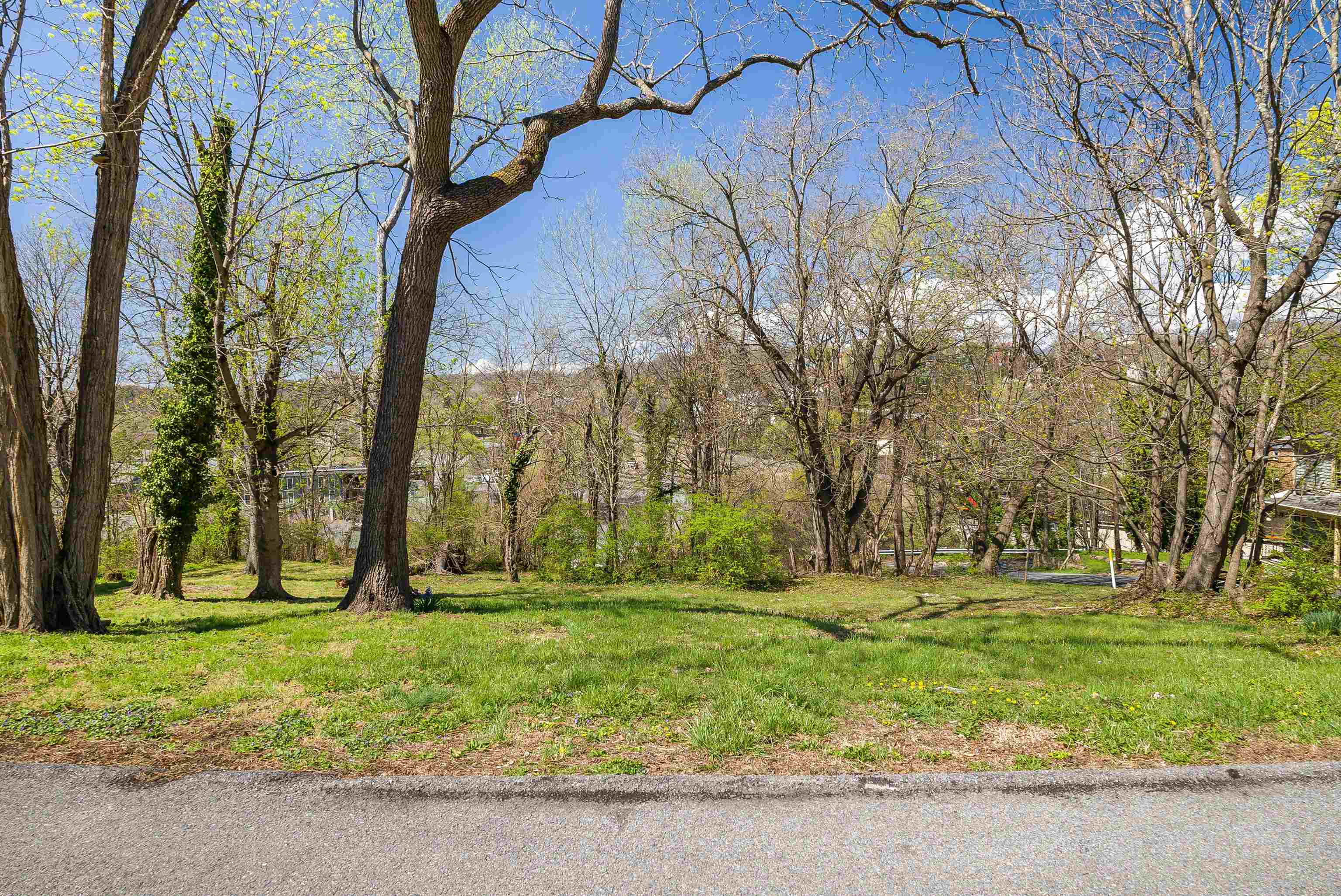 108 CLIFFORD ST, STAUNTON, Virginia 24401, ,Land,108 CLIFFORD ST,675474 MLS # 675474