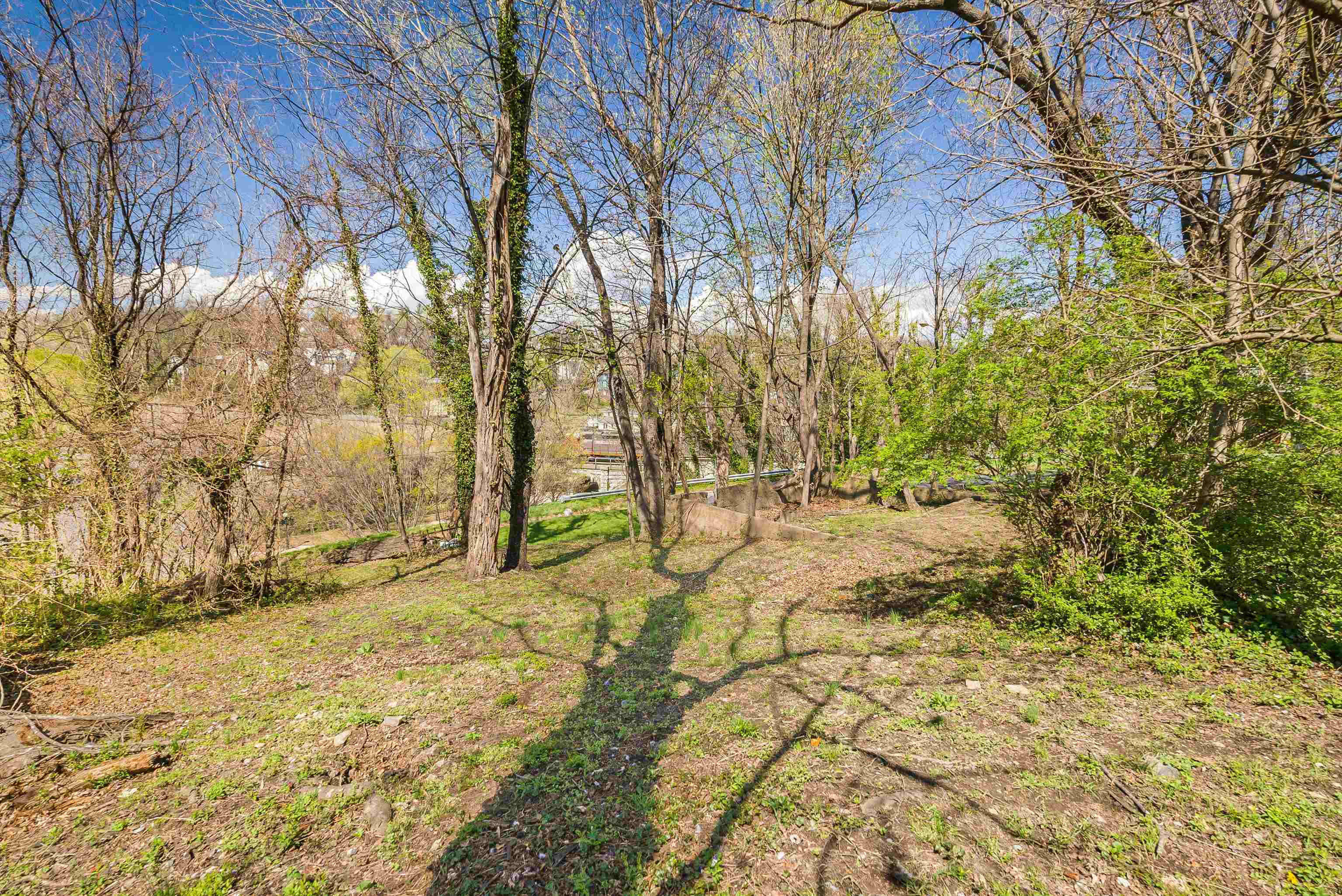 108 CLIFFORD ST, STAUNTON, Virginia 24401, ,Land,108 CLIFFORD ST,675474 MLS # 675474