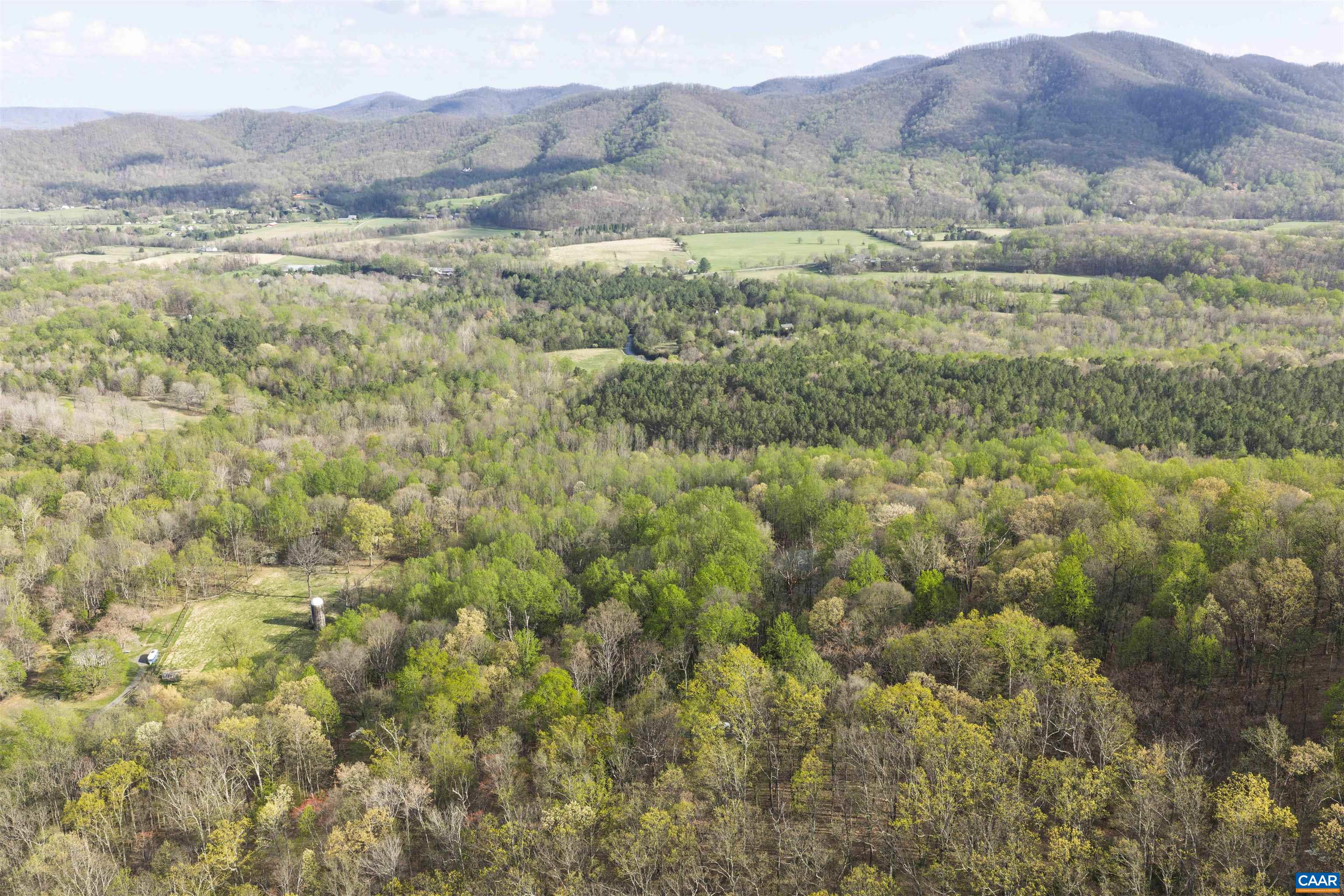 Lot 42 TREE HOUSE PL, NELLYSFORD, Virginia 22958, ,Land,Lot 42 TREE HOUSE PL,675475 MLS # 675475