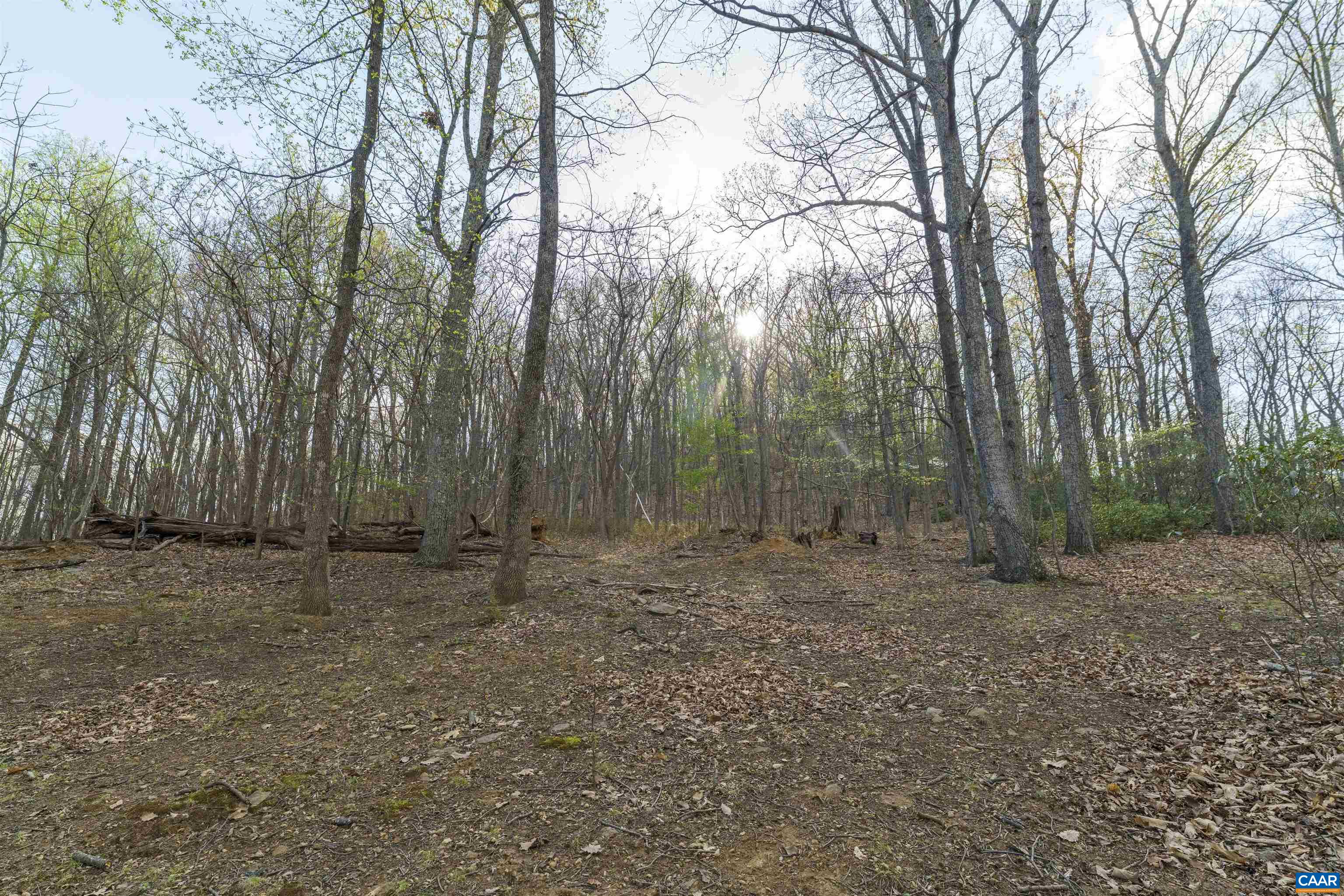 Lot 42 TREE HOUSE PL, NELLYSFORD, Virginia 22958, ,Land,Lot 42 TREE HOUSE PL,675475 MLS # 675475
