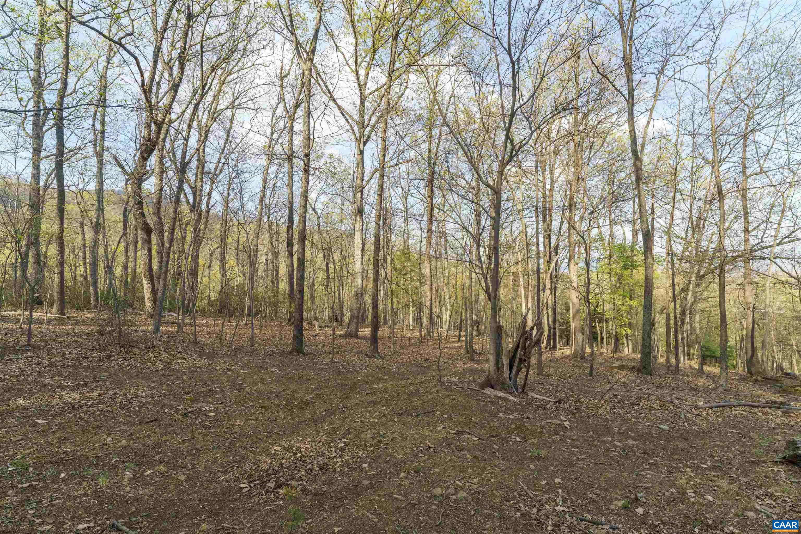Lot 42 TREE HOUSE PL, NELLYSFORD, Virginia 22958, ,Land,Lot 42 TREE HOUSE PL,675475 MLS # 675475