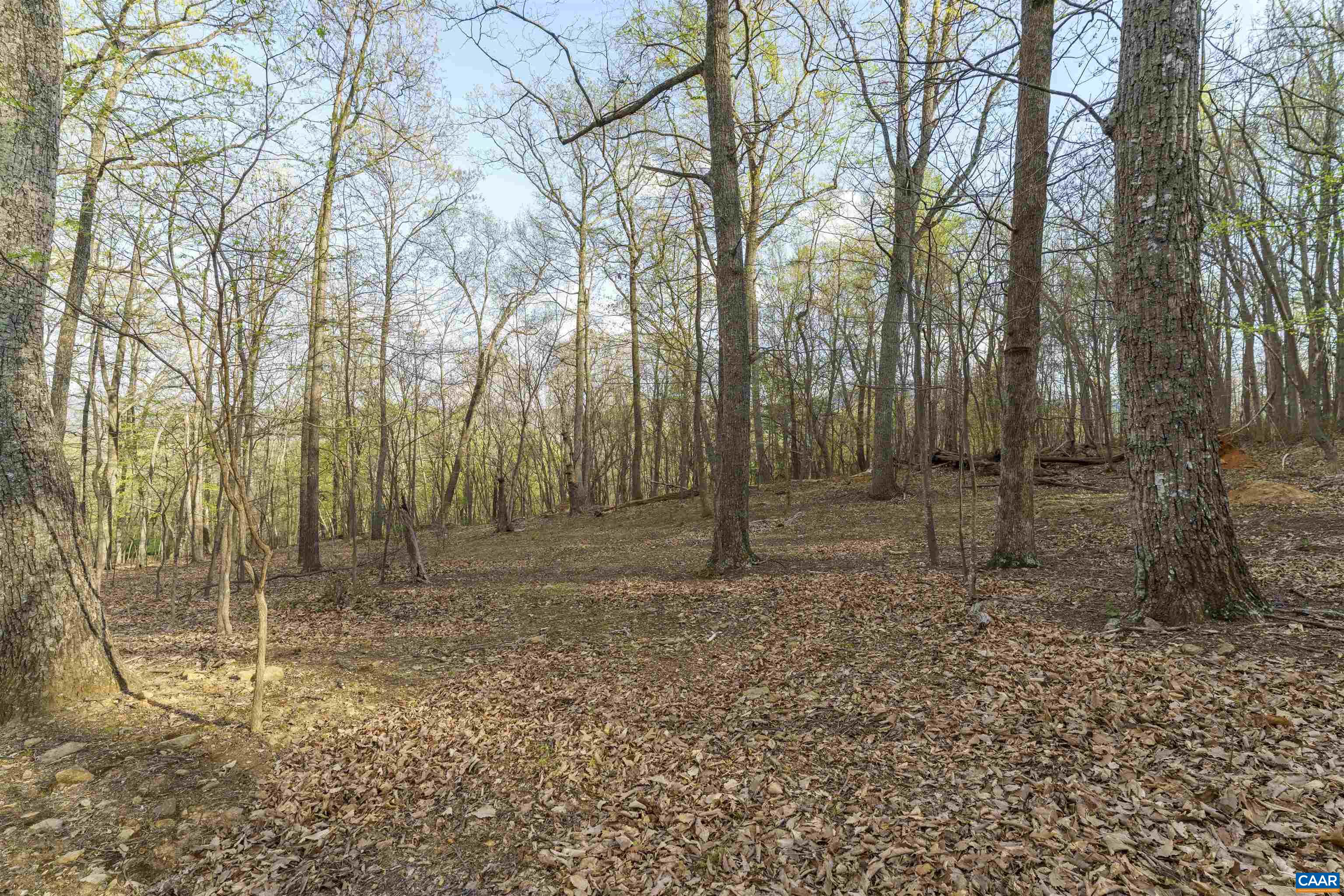Lot 42 TREE HOUSE PL, NELLYSFORD, Virginia 22958, ,Land,Lot 42 TREE HOUSE PL,675475 MLS # 675475