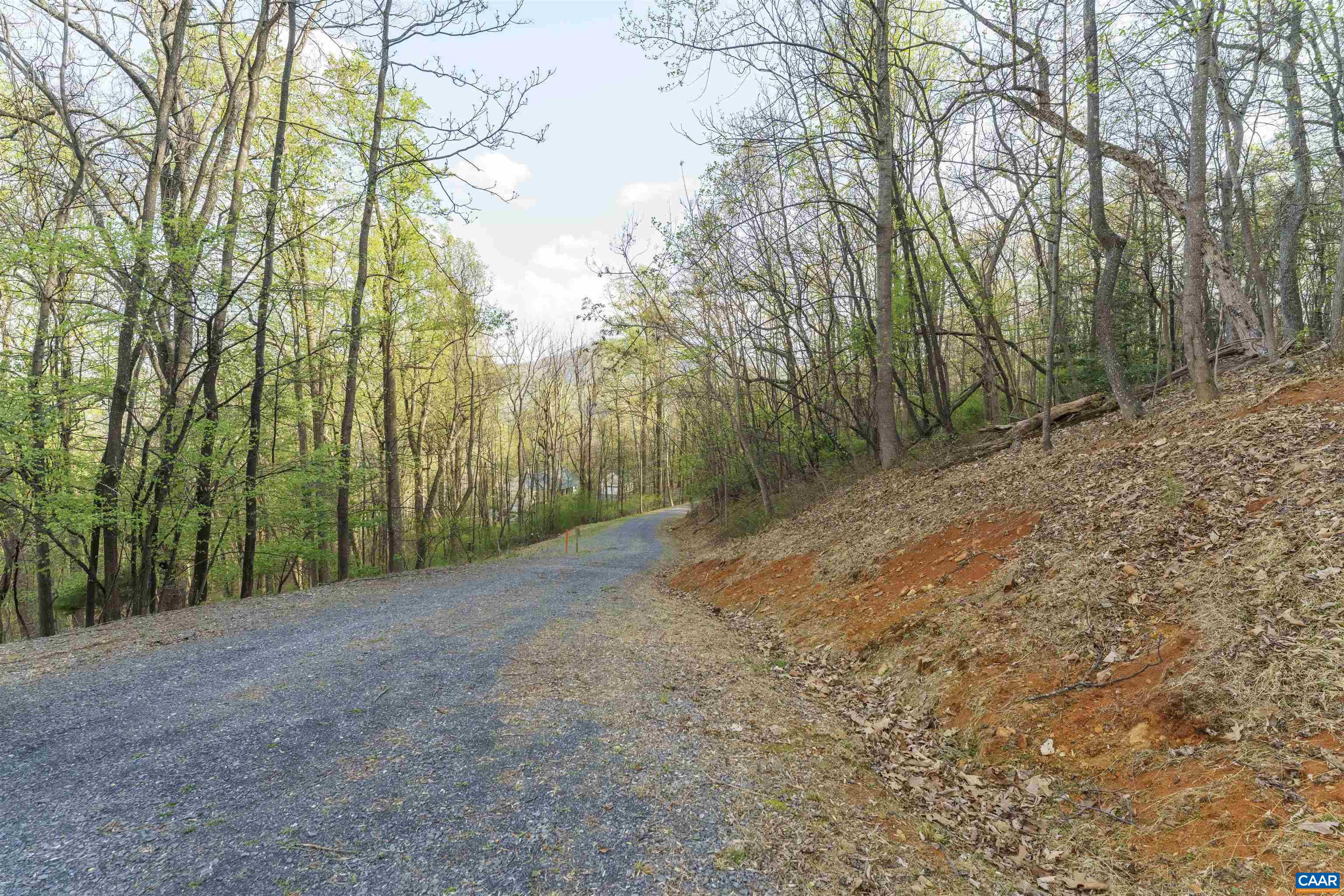 Lot 42 TREE HOUSE PL, NELLYSFORD, Virginia 22958, ,Land,Lot 42 TREE HOUSE PL,675475 MLS # 675475