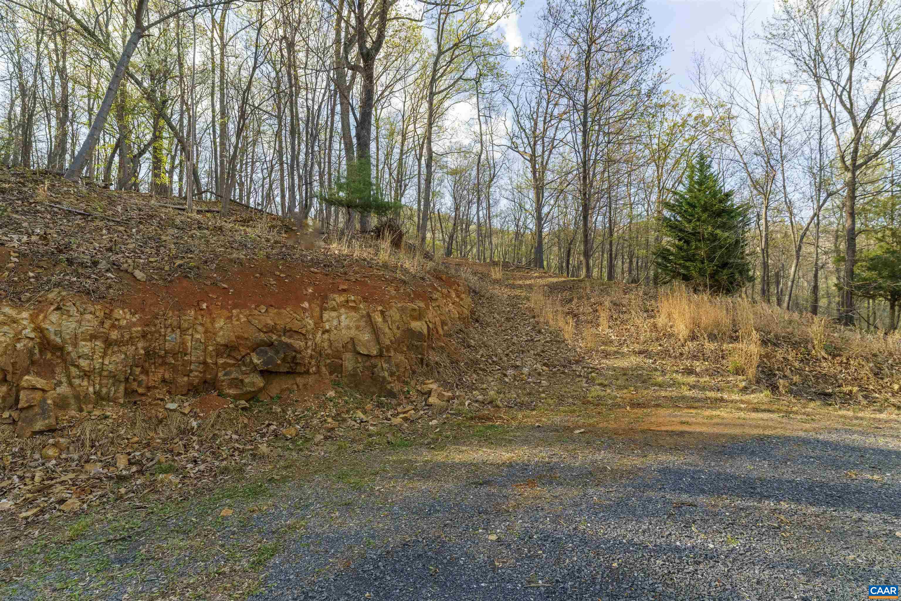 Lot 42 TREE HOUSE PL, NELLYSFORD, Virginia 22958, ,Land,Lot 42 TREE HOUSE PL,675475 MLS # 675475