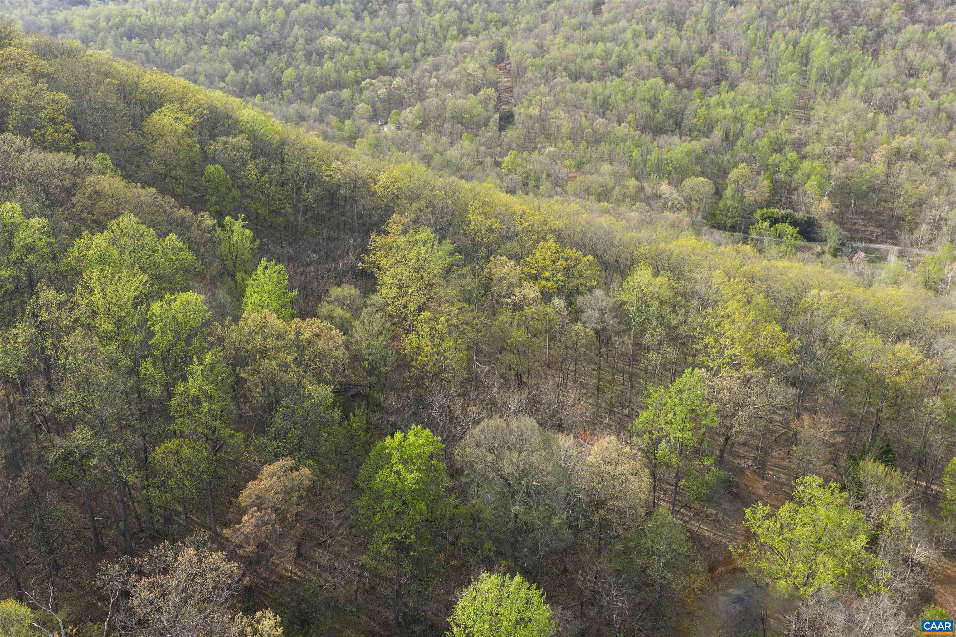 Lot 42 TREE HOUSE PL, NELLYSFORD, Virginia 22958, ,Land,Lot 42 TREE HOUSE PL,675475 MLS # 675475