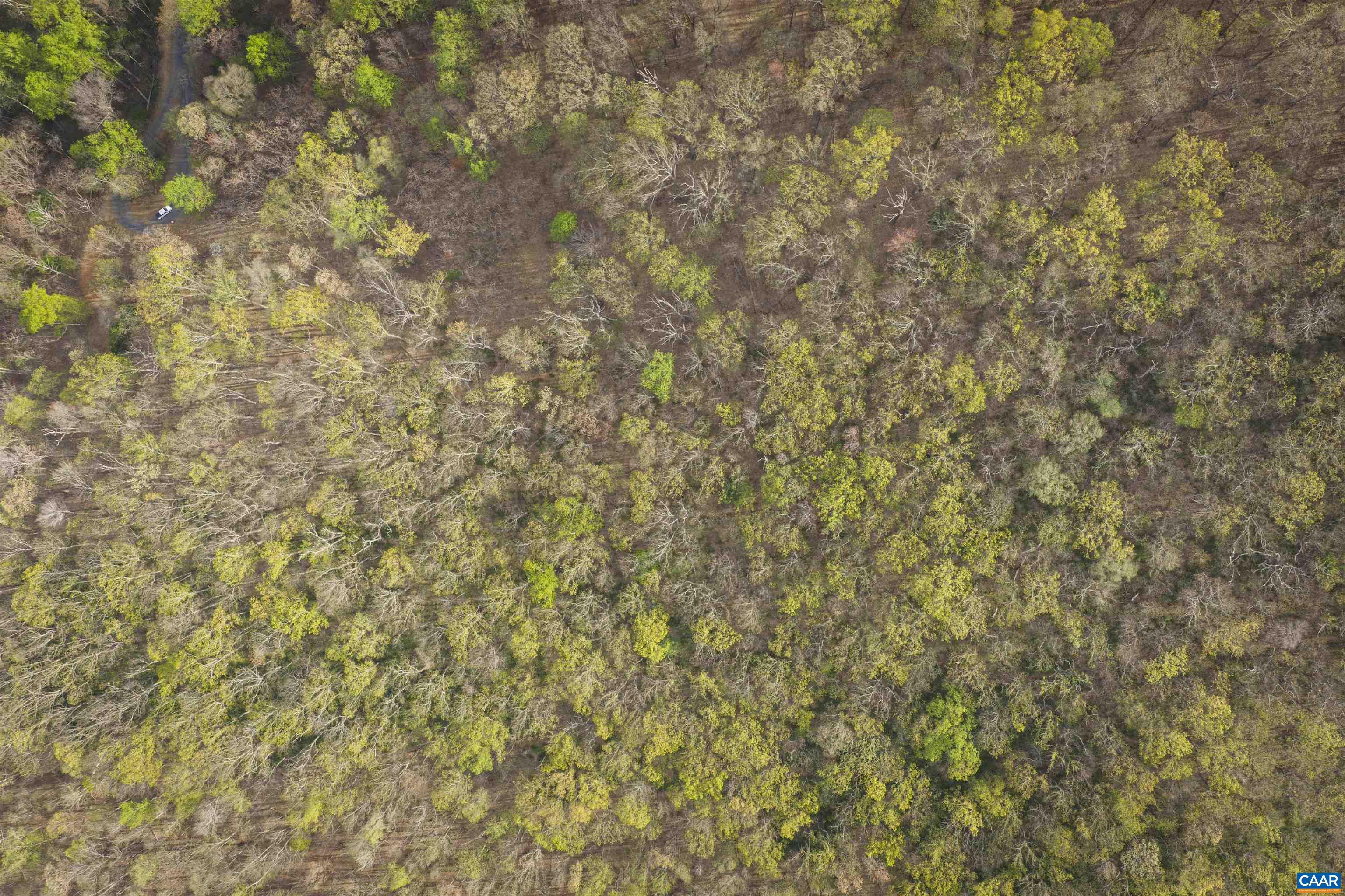 Lot 42 TREE HOUSE PL, NELLYSFORD, Virginia 22958, ,Land,Lot 42 TREE HOUSE PL,675475 MLS # 675475