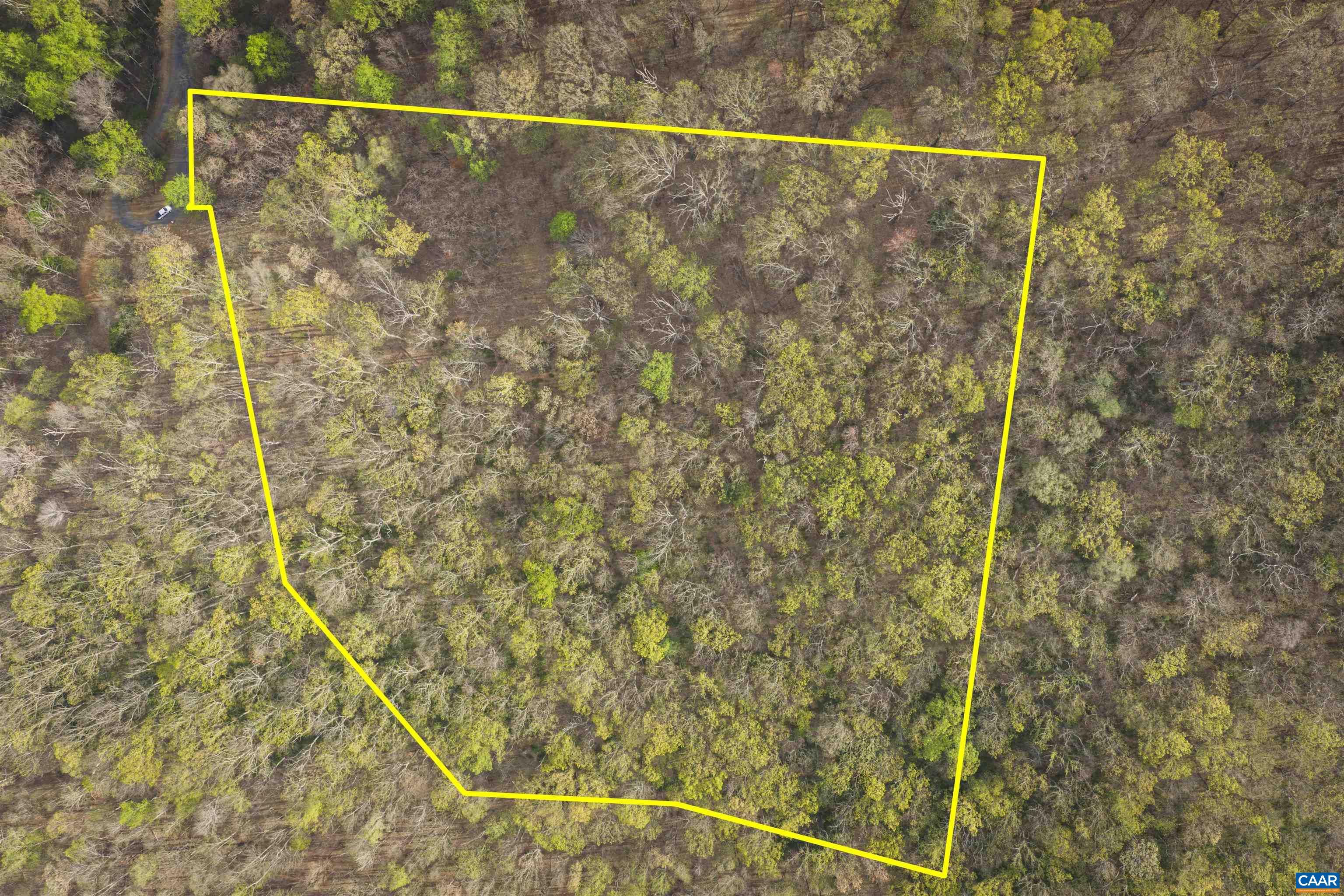 Lot 42 TREE HOUSE PL, NELLYSFORD, Virginia 22958, ,Land,Lot 42 TREE HOUSE PL,675475 MLS # 675475