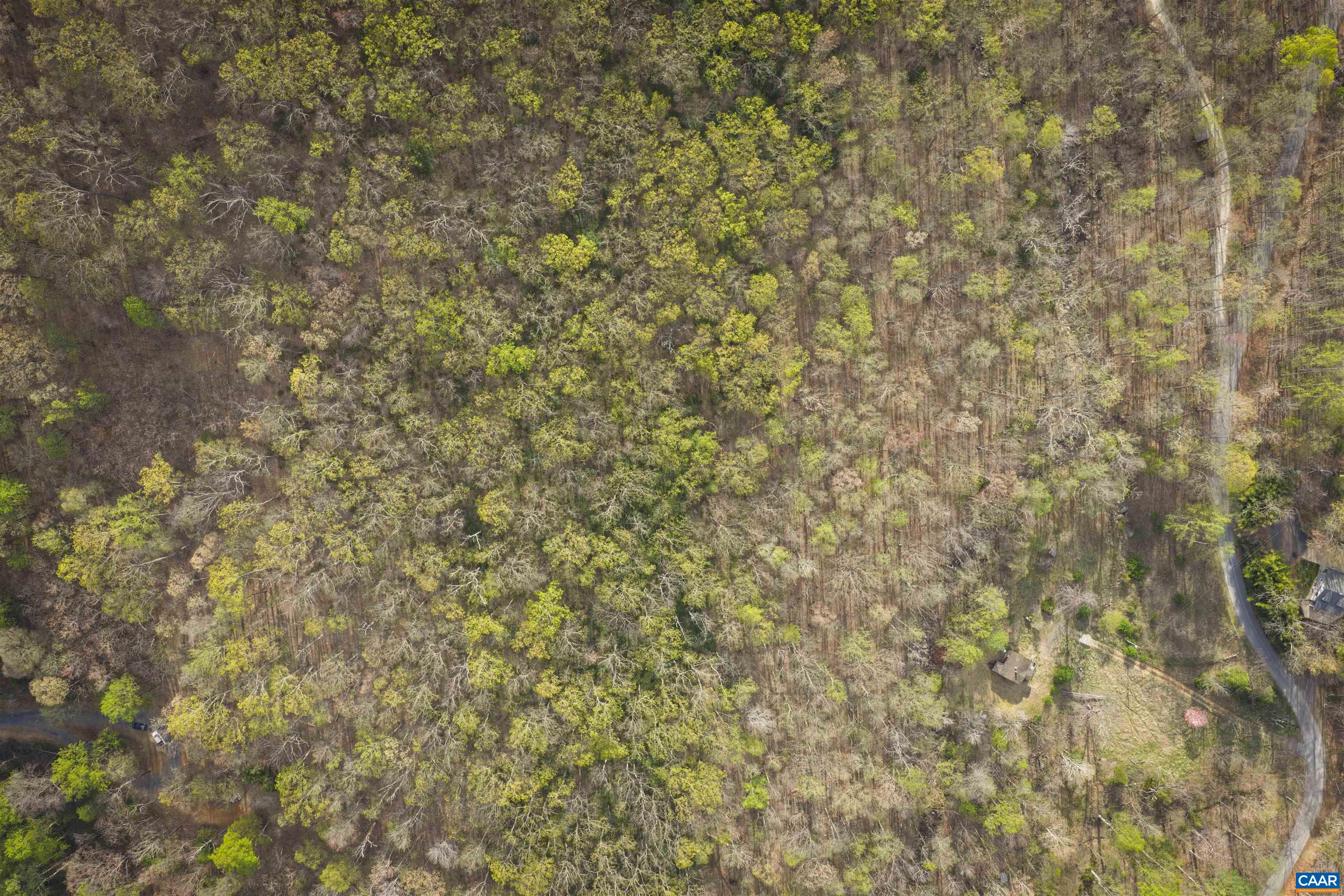 Lot 42 TREE HOUSE PL, NELLYSFORD, Virginia 22958, ,Land,Lot 42 TREE HOUSE PL,675475 MLS # 675475