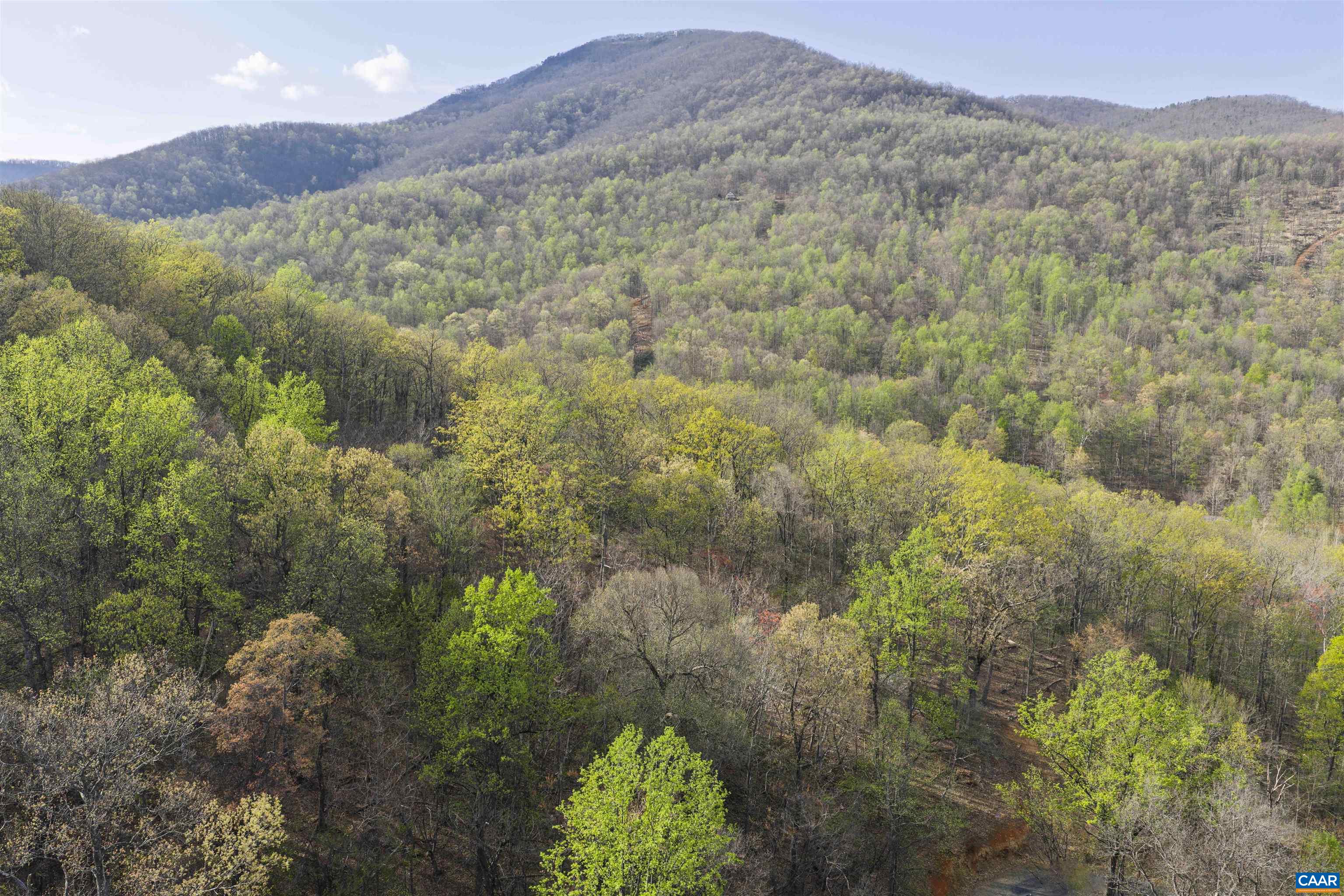 Lot 42 TREE HOUSE PL, NELLYSFORD, Virginia 22958, ,Land,Lot 42 TREE HOUSE PL,675475 MLS # 675475