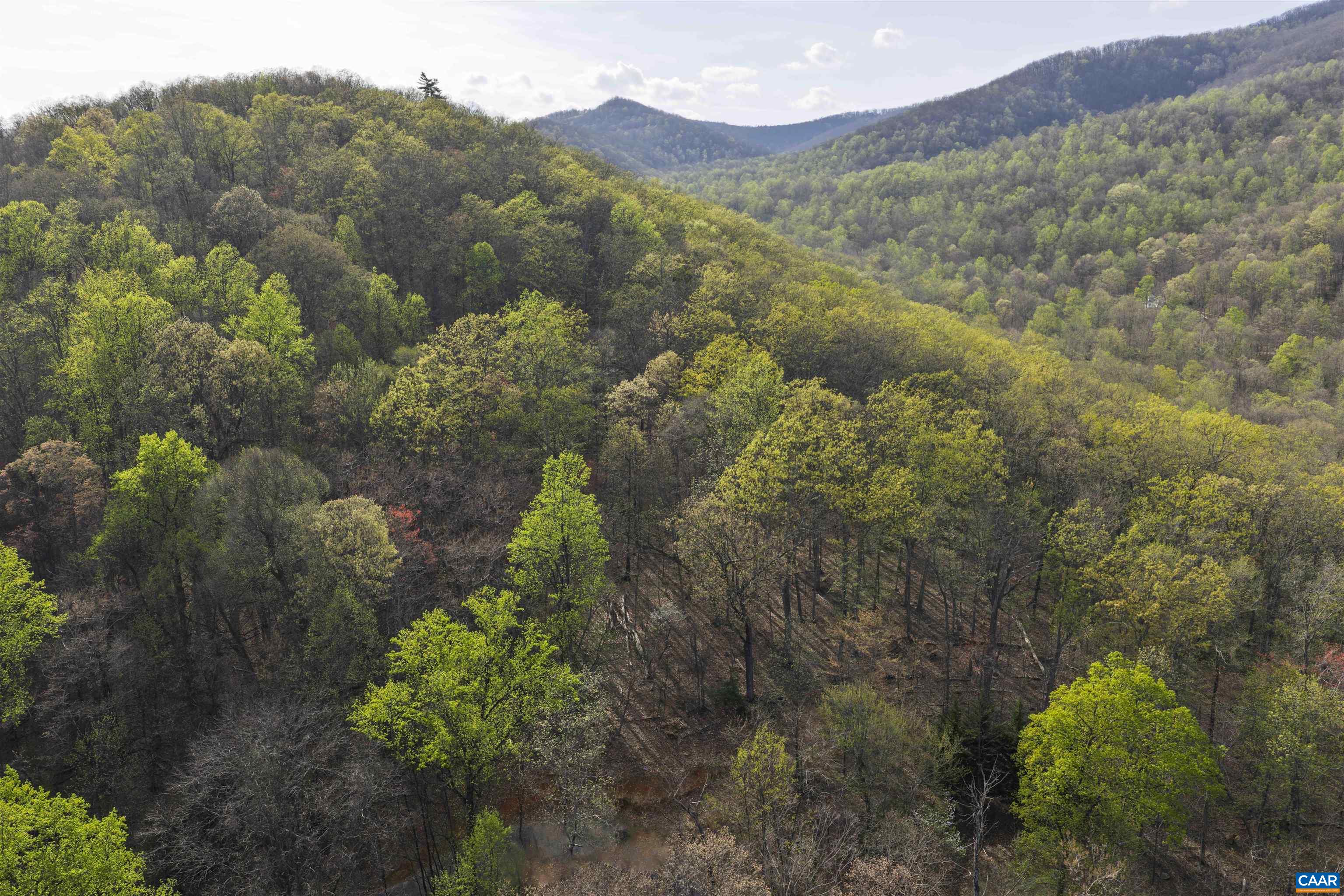 Lot 42 TREE HOUSE PL, NELLYSFORD, Virginia 22958, ,Land,Lot 42 TREE HOUSE PL,675475 MLS # 675475