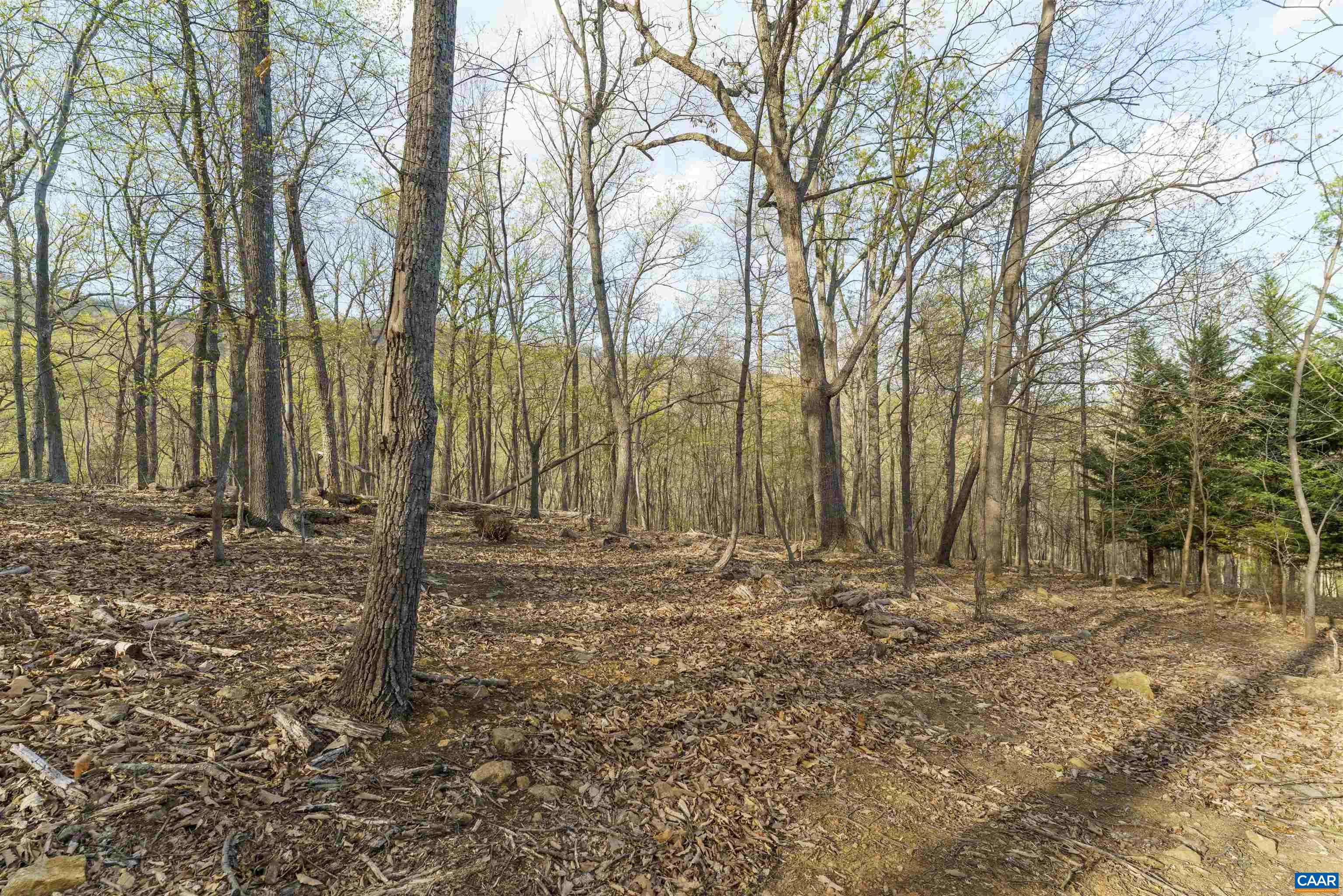 Lot 42 TREE HOUSE PL, NELLYSFORD, Virginia 22958, ,Land,Lot 42 TREE HOUSE PL,675475 MLS # 675475