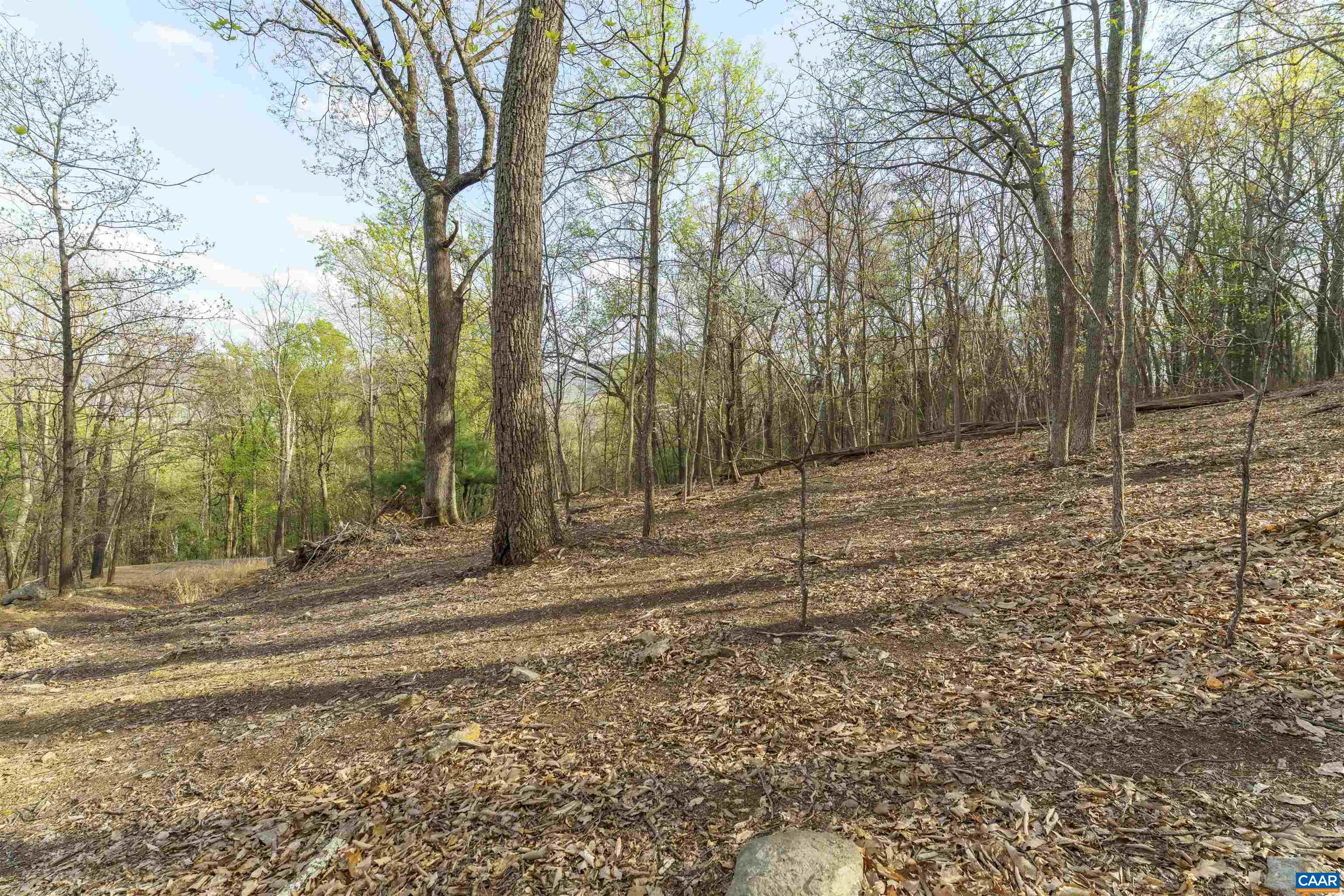 Lot 42 TREE HOUSE PL, NELLYSFORD, Virginia 22958, ,Land,Lot 42 TREE HOUSE PL,675475 MLS # 675475