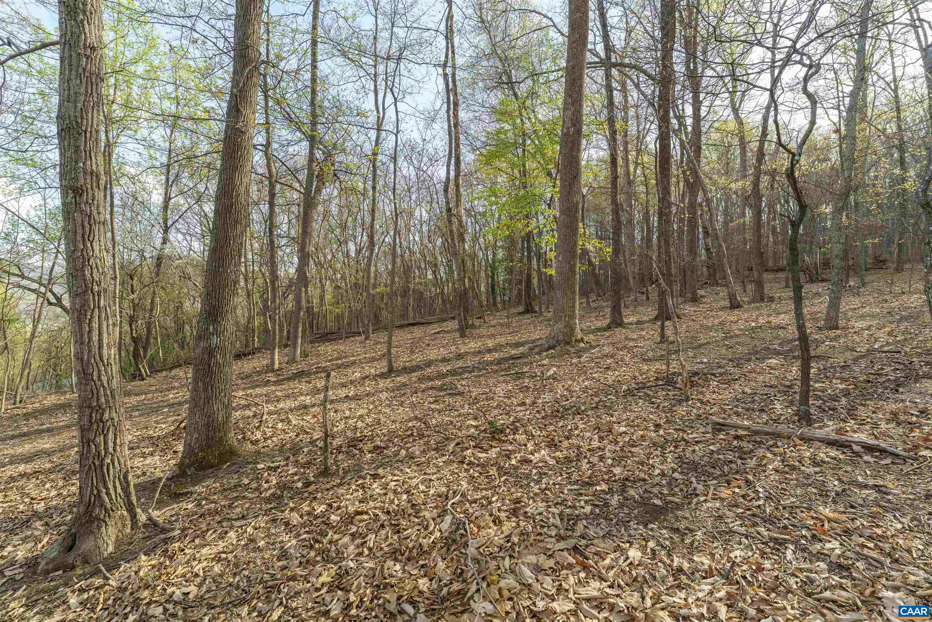 Lot 42 TREE HOUSE PL, NELLYSFORD, Virginia 22958, ,Land,Lot 42 TREE HOUSE PL,675475 MLS # 675475