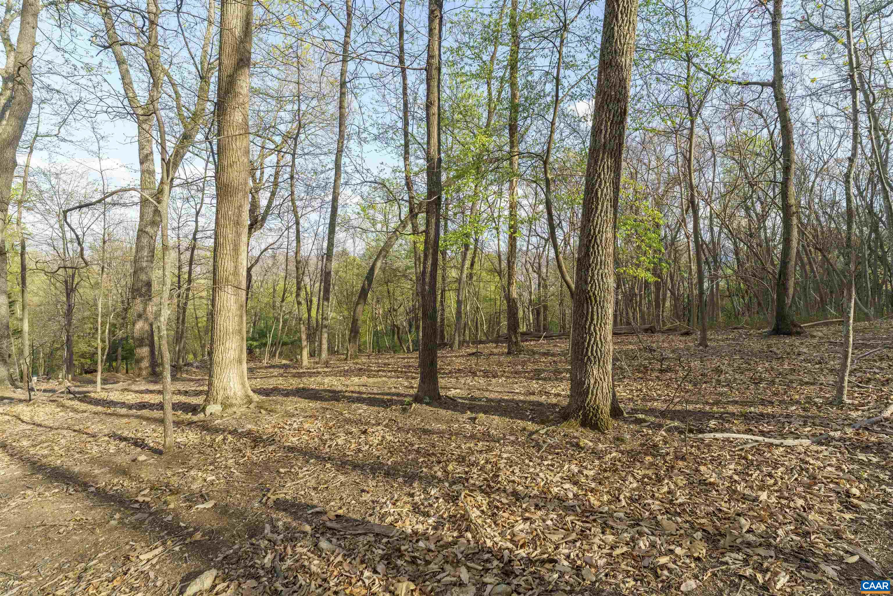 Lot 42 TREE HOUSE PL, NELLYSFORD, Virginia 22958, ,Land,Lot 42 TREE HOUSE PL,675475 MLS # 675475