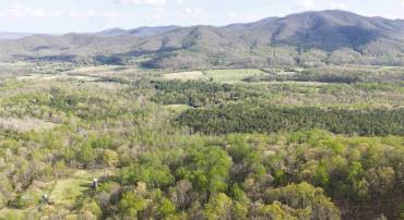 Lot 42 TREE HOUSE PL, NELLYSFORD, Virginia 22958, ,Land,Lot 42 TREE HOUSE PL,675475 MLS # 675475