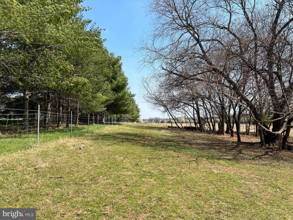 15604 GLEN ELLA, CULPEPER, Virginia 22701, 6 Bedrooms Bedrooms, ,3 BathroomsBathrooms,Residential,15604 GLEN ELLA,VACU2013120 MLS # VACU2013120 15604 GLEN ELLA, CULPEPER, Virginia 22701, 6 Bedrooms Bedrooms, ,3 BathroomsBathrooms,Residential,15604 GLEN ELLA,VACU2013120 MLS # VACU2013120