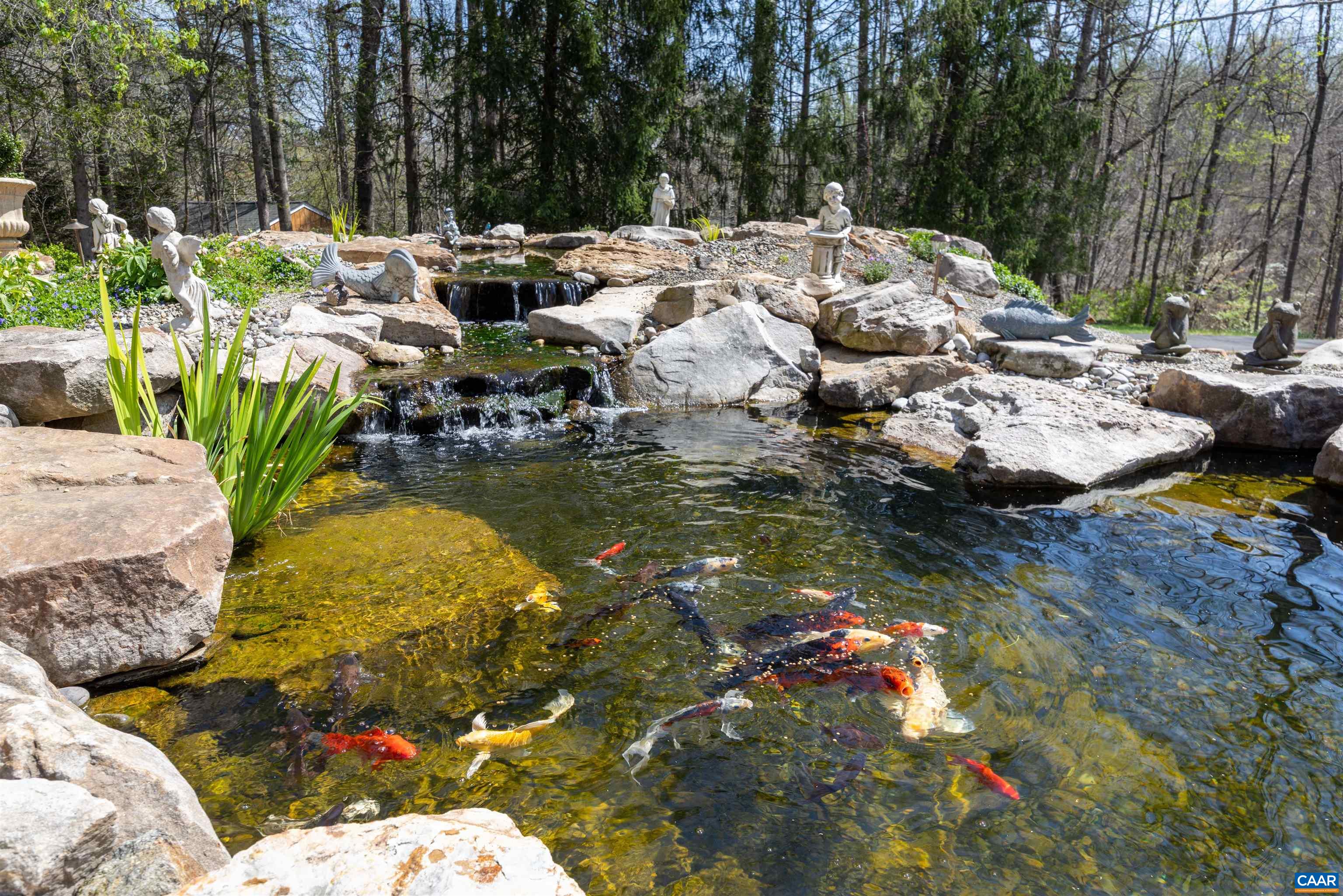 155 IVY RIDGE RD, CHARLOTTESVILLE, Virginia 22901, 6 Bedrooms Bedrooms, ,4 BathroomsBathrooms,Residential,Henderson Estate,155 IVY RIDGE RD,675458 MLS # 675458 155 IVY RIDGE RD, CHARLOTTESVILLE, Virginia 22901, 6 Bedrooms Bedrooms, ,4 BathroomsBathrooms,Residential,Henderson Estate,155 IVY RIDGE RD,675458 MLS # 675458