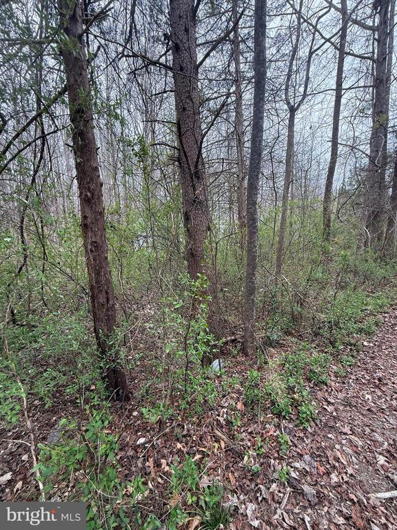 5300 HAMS FORD RD, WOODFORD, Virginia 22580, ,Land,5300 HAMS FORD RD,VASP2040548 MLS # VASP2040548 5300 HAMS FORD RD, WOODFORD, Virginia 22580, ,Land,5300 HAMS FORD RD,VASP2040548 MLS # VASP2040548