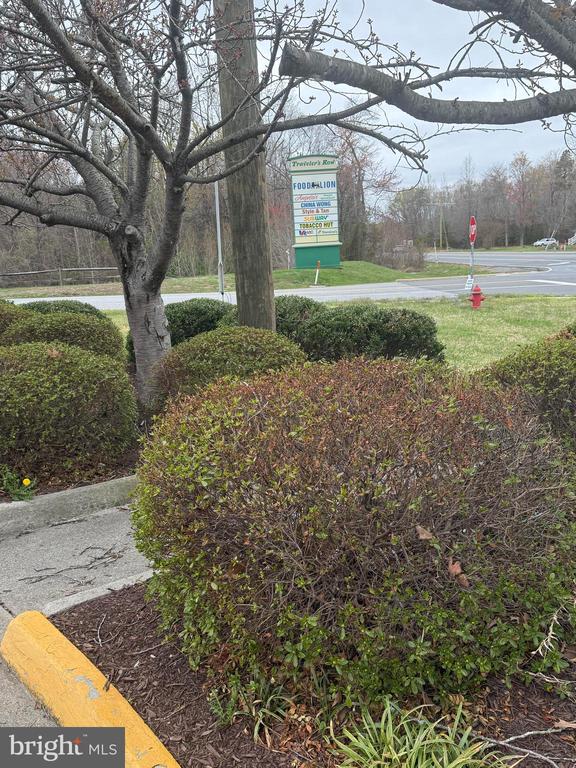 5300 HAMS FORD RD, WOODFORD, Virginia 22580, ,Land,5300 HAMS FORD RD,VASP2040548 MLS # VASP2040548 5300 HAMS FORD RD, WOODFORD, Virginia 22580, ,Land,5300 HAMS FORD RD,VASP2040548 MLS # VASP2040548