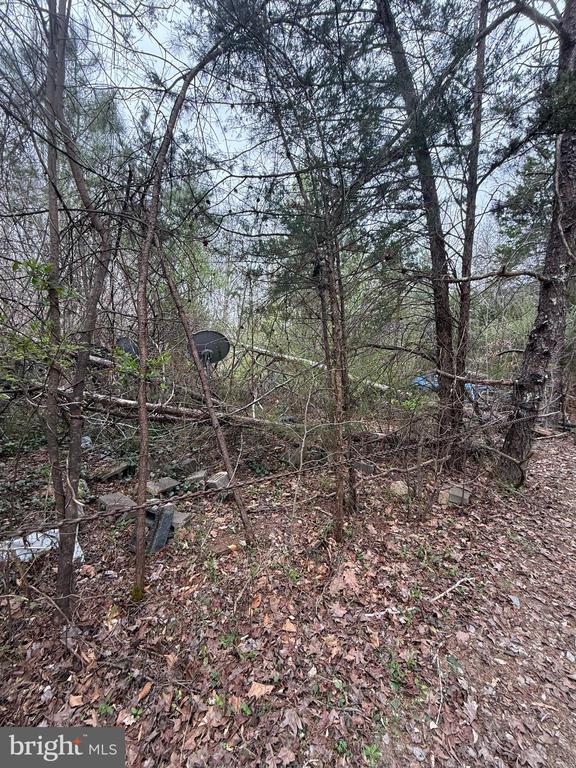 5300 HAMS FORD RD, WOODFORD, Virginia 22580, ,Land,5300 HAMS FORD RD,VASP2040548 MLS # VASP2040548 5300 HAMS FORD RD, WOODFORD, Virginia 22580, ,Land,5300 HAMS FORD RD,VASP2040548 MLS # VASP2040548
