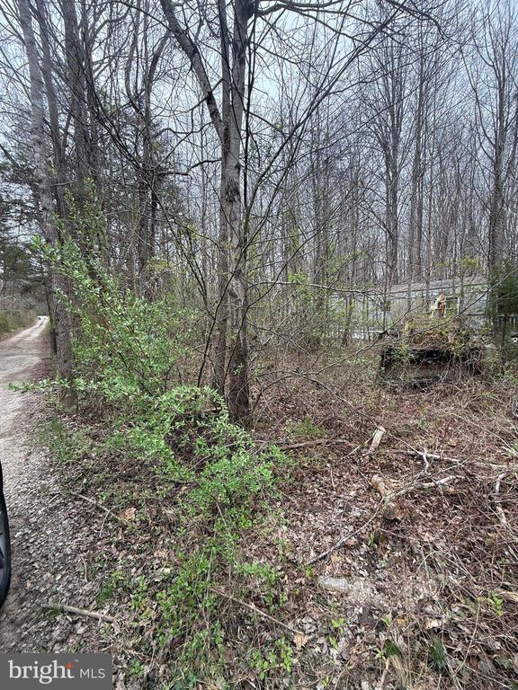 5300 HAMS FORD RD, WOODFORD, Virginia 22580, ,Land,5300 HAMS FORD RD,VASP2040548 MLS # VASP2040548 5300 HAMS FORD RD, WOODFORD, Virginia 22580, ,Land,5300 HAMS FORD RD,VASP2040548 MLS # VASP2040548
