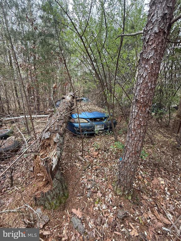 5300 HAMS FORD RD, WOODFORD, Virginia 22580, ,Land,5300 HAMS FORD RD,VASP2040548 MLS # VASP2040548 5300 HAMS FORD RD, WOODFORD, Virginia 22580, ,Land,5300 HAMS FORD RD,VASP2040548 MLS # VASP2040548