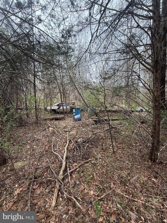 5300 HAMS FORD RD, WOODFORD, Virginia 22580, ,Land,5300 HAMS FORD RD,VASP2040548 MLS # VASP2040548 5300 HAMS FORD RD, WOODFORD, Virginia 22580, ,Land,5300 HAMS FORD RD,VASP2040548 MLS # VASP2040548